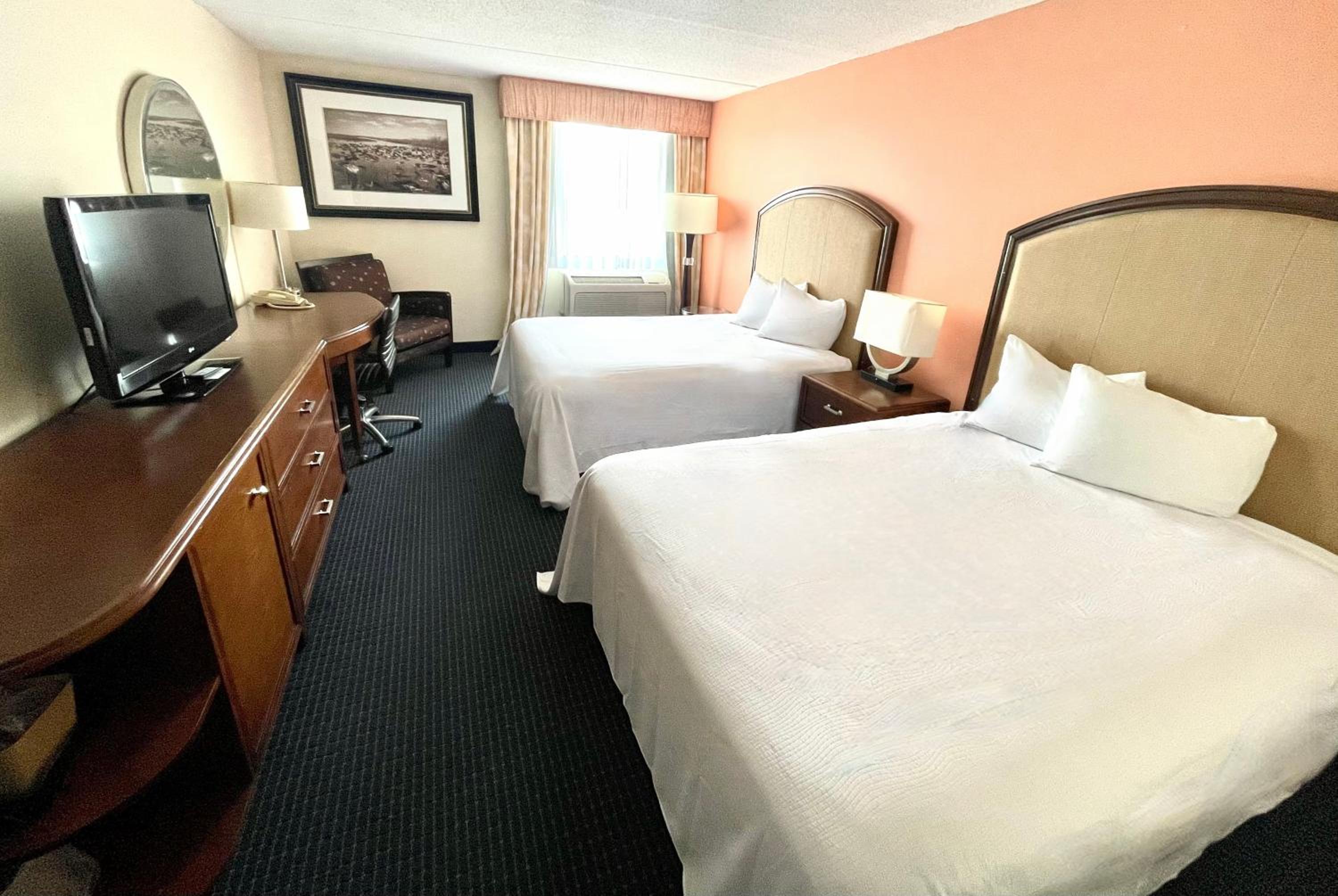 Deluxe Queen Room - Photo 1