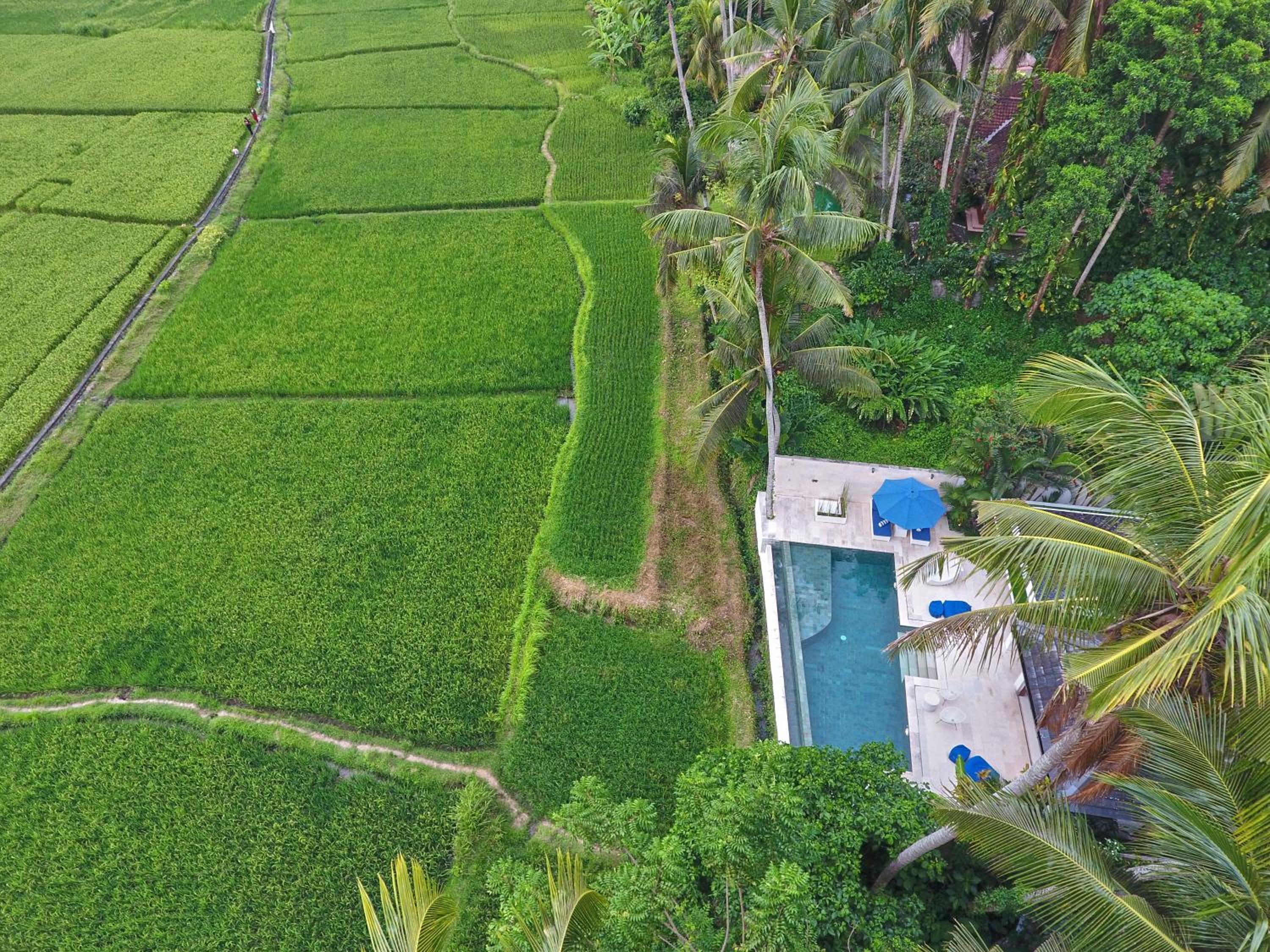 Luxury Villa with Private Pool - Photo 17