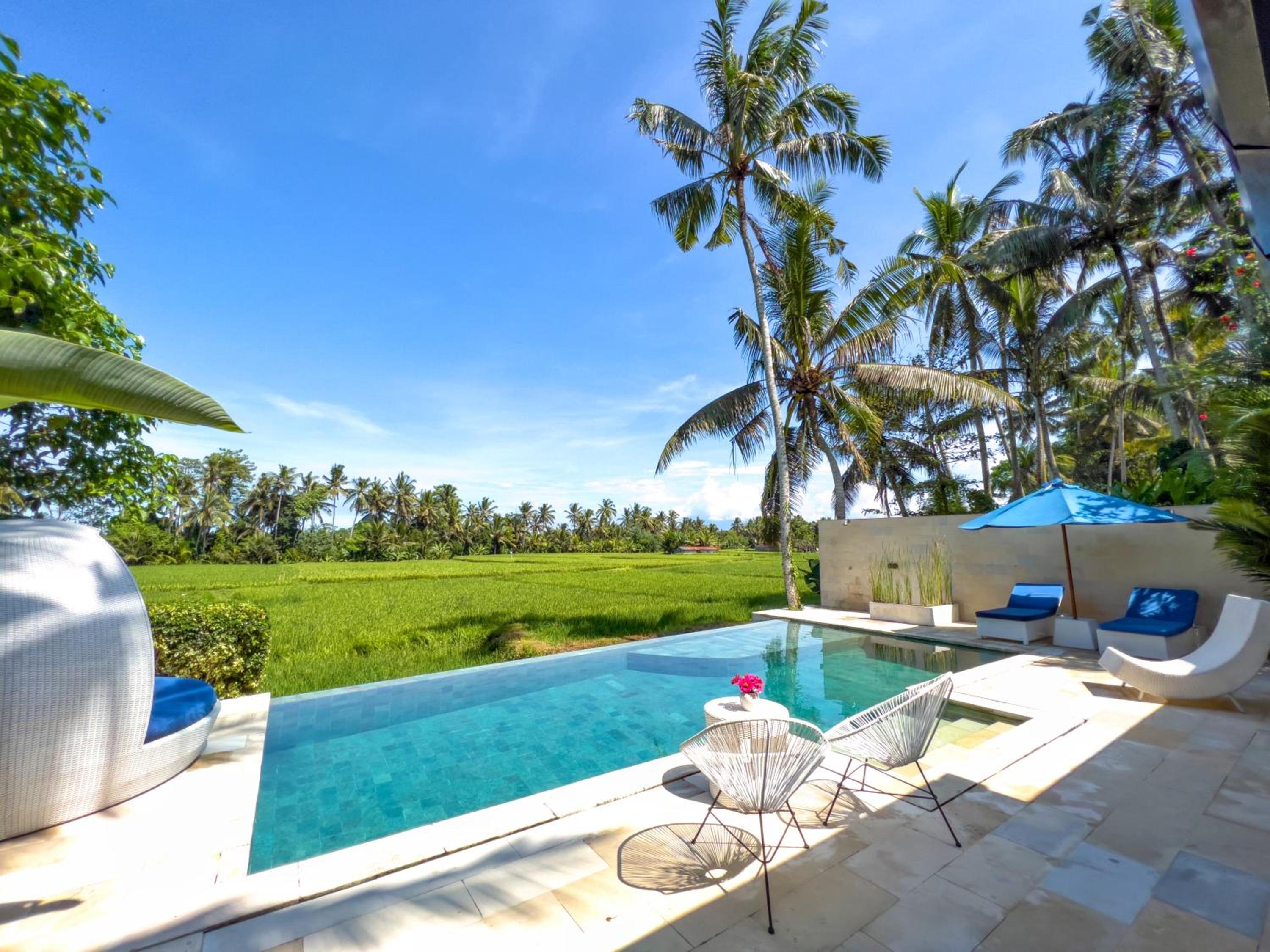Luxury Villa with Private Pool - Photo 52