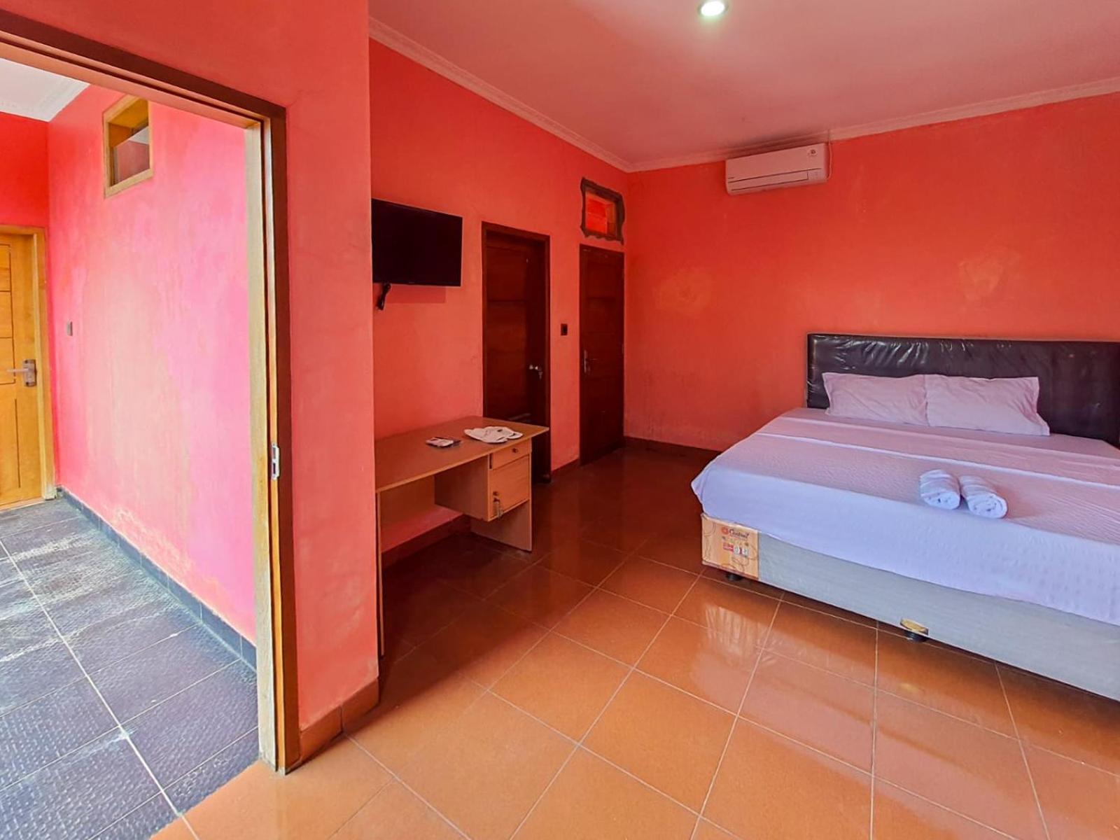 Suite - Photo 1