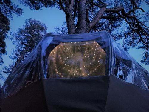 Tent with River View  - Photo 7