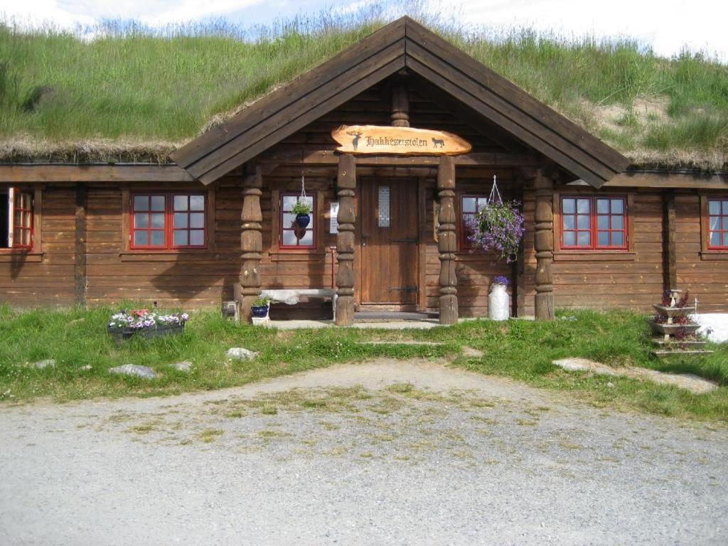 Double or Twin Room photo 2