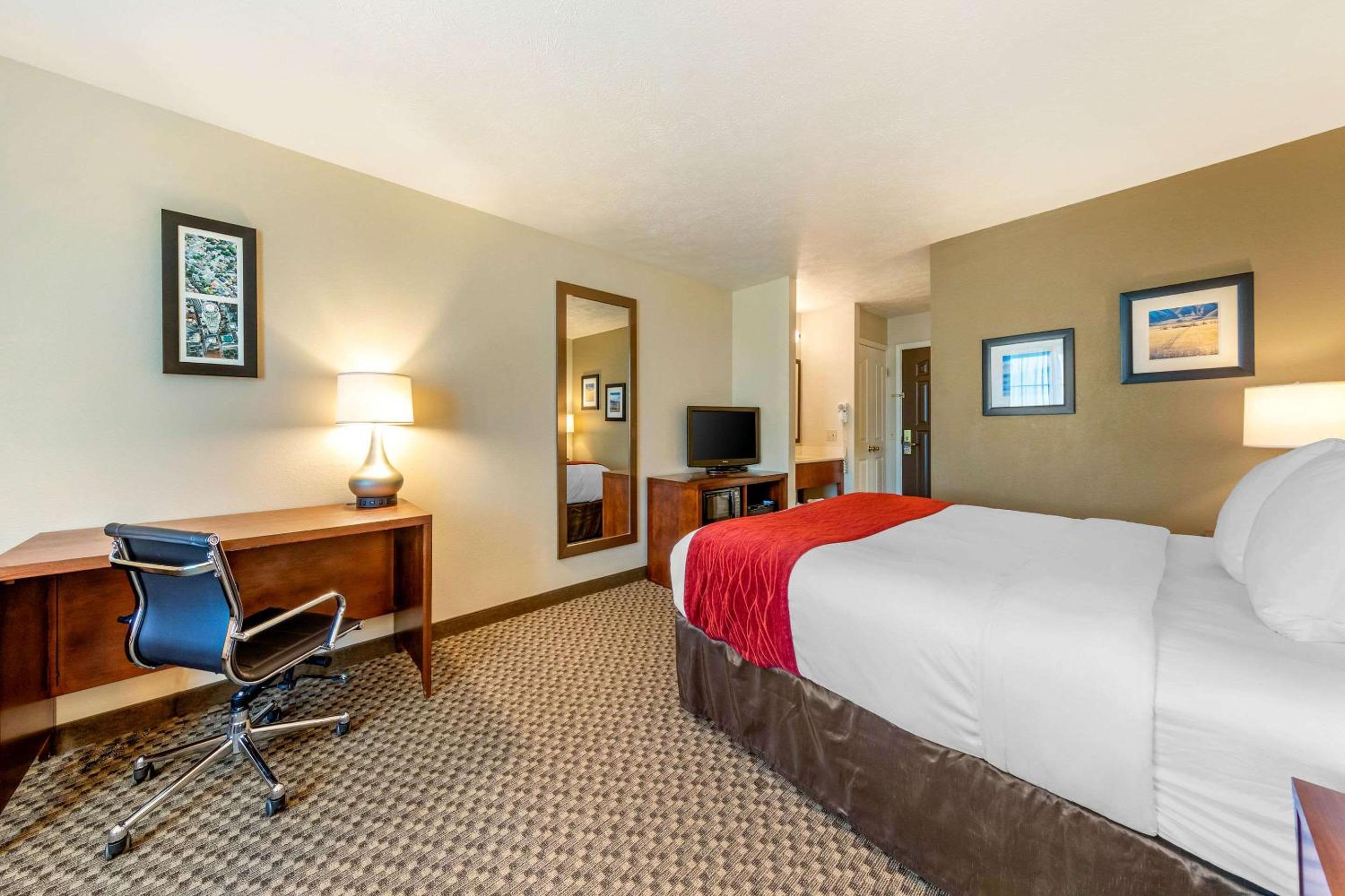 King Room - Non-Smoking - Photo 8