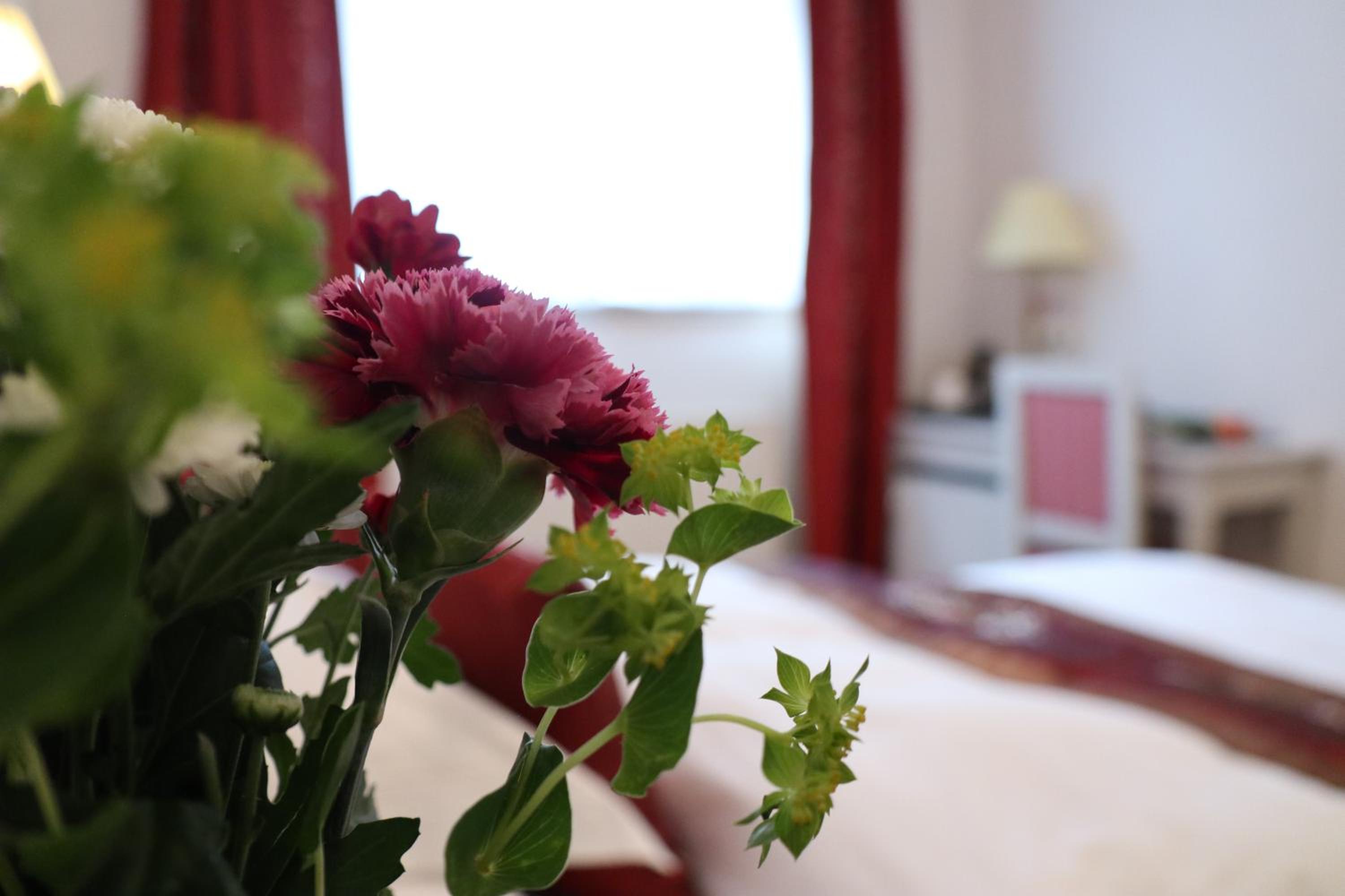Superior Triple Room - Photo 3