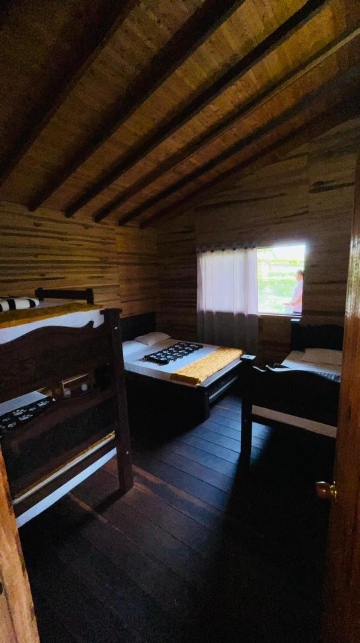4-Bed Mixed Dormitory Room photo 3