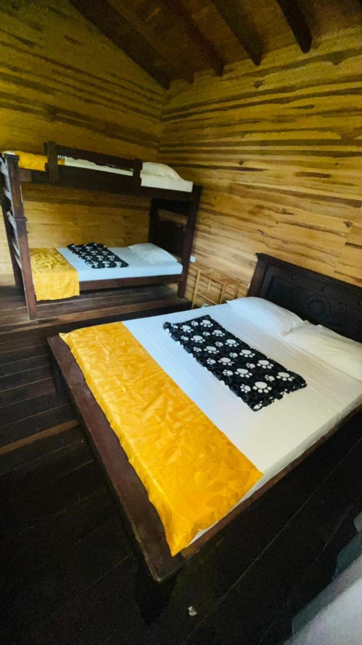 4-Bed Mixed Dormitory Room photo 2