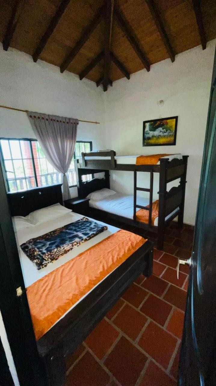 4-Bed Mixed Dormitory Room photo 1