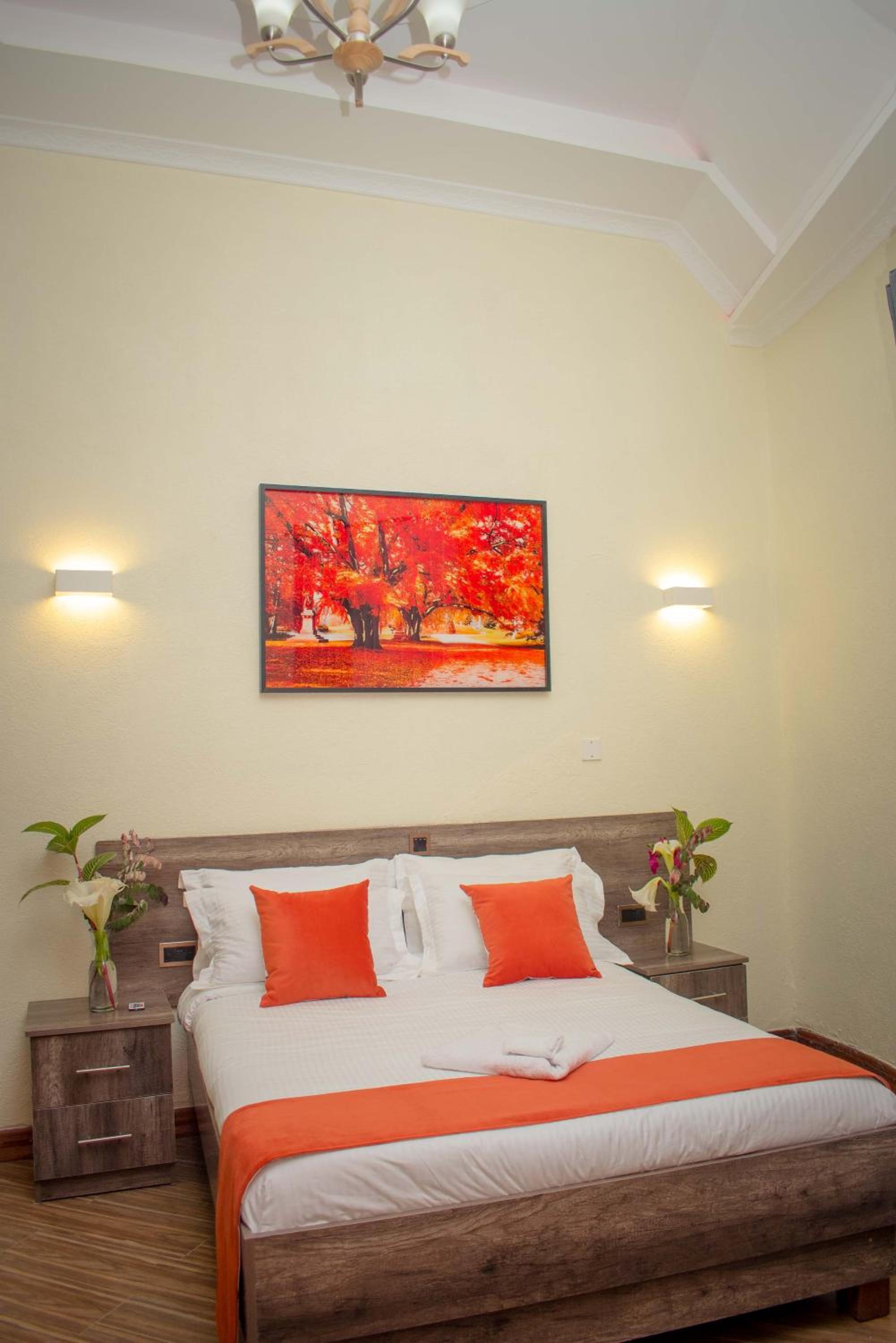 Budget Single Room - Photo 4