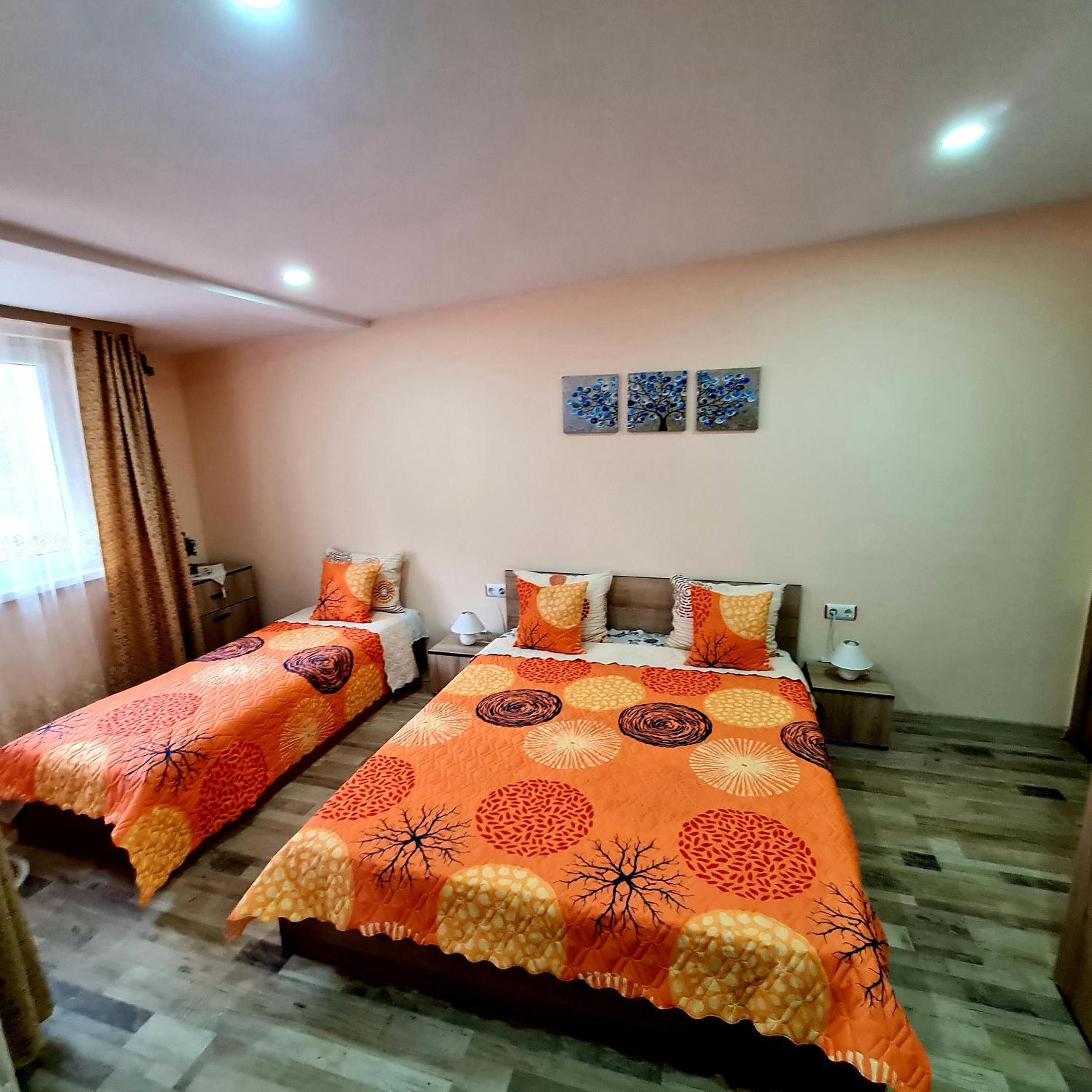 King Room photo 1