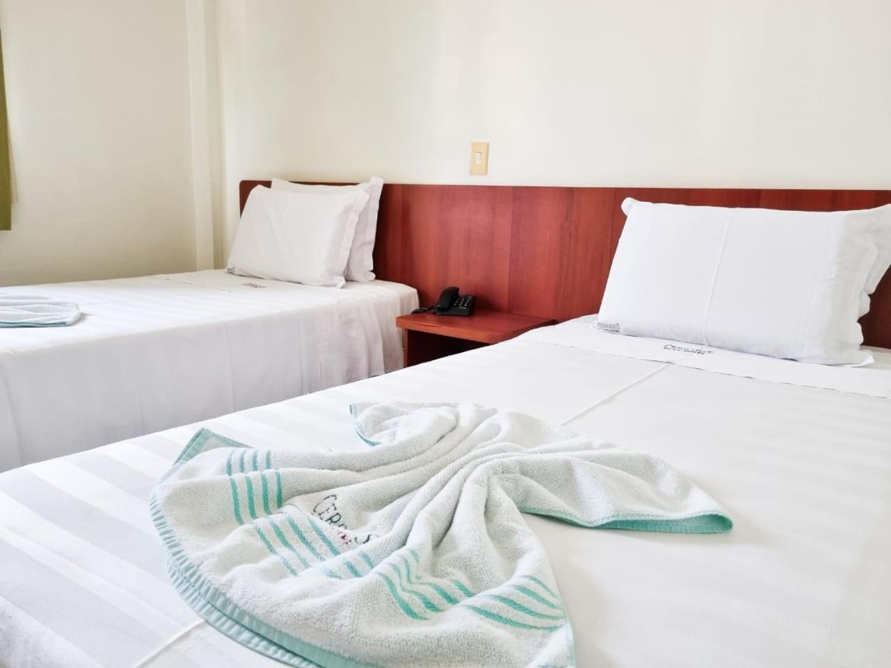 Double or Twin Room photo 3