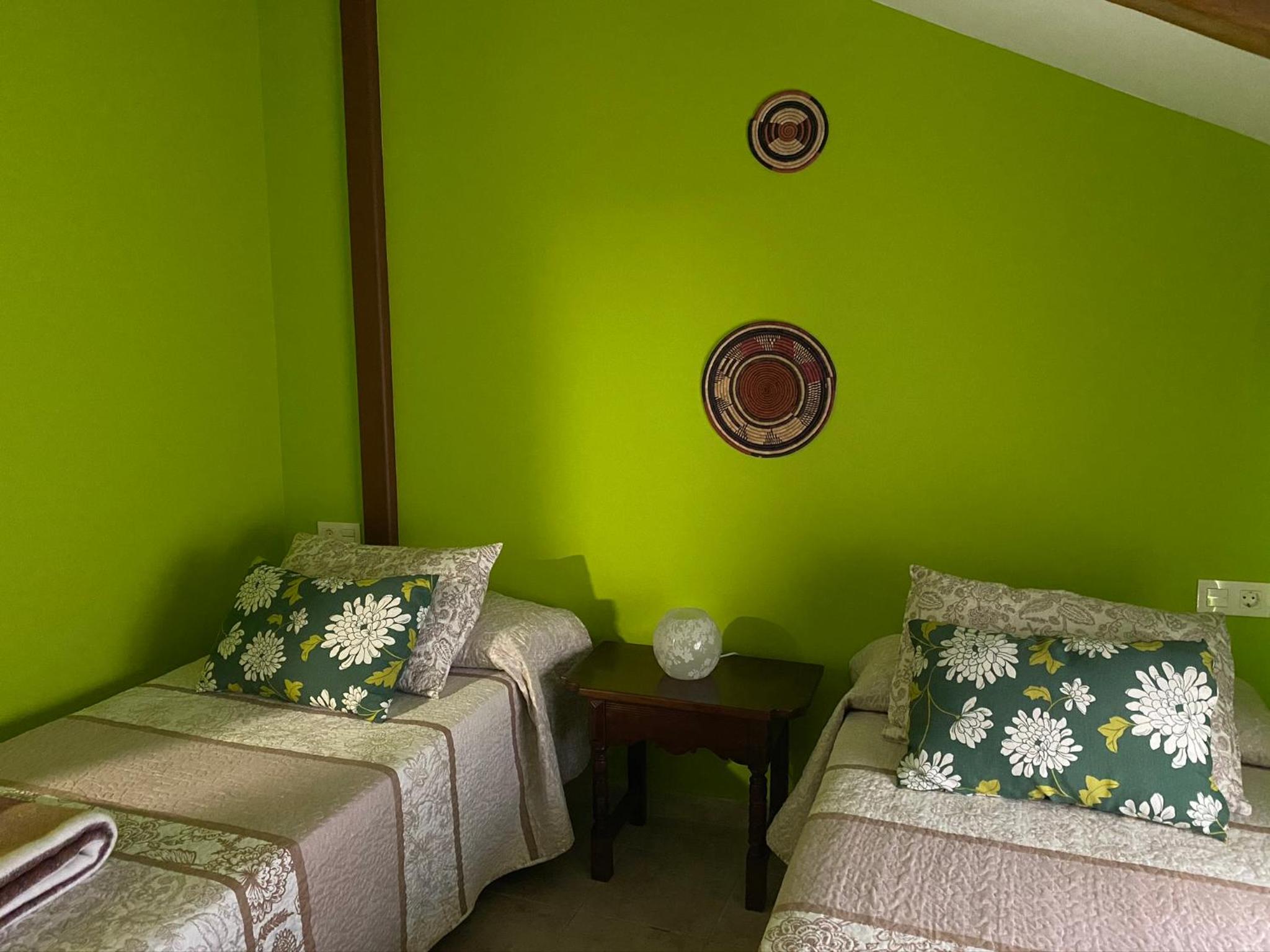 Single Room photo 2