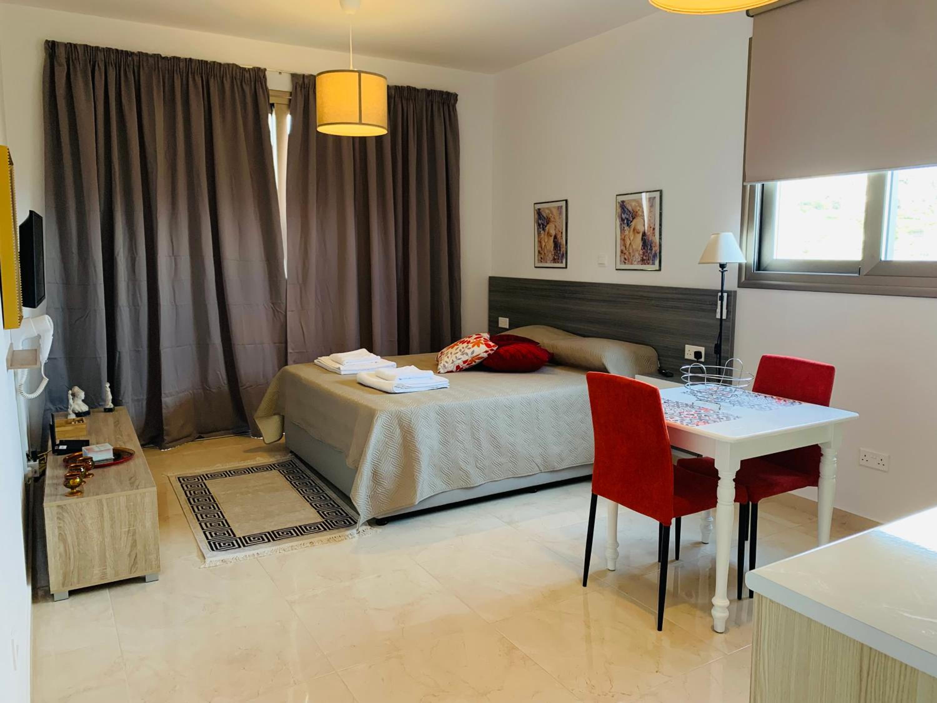 Studio Apartment with Mountain View