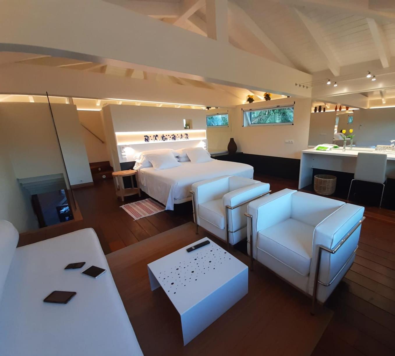 Estudio de Lujo