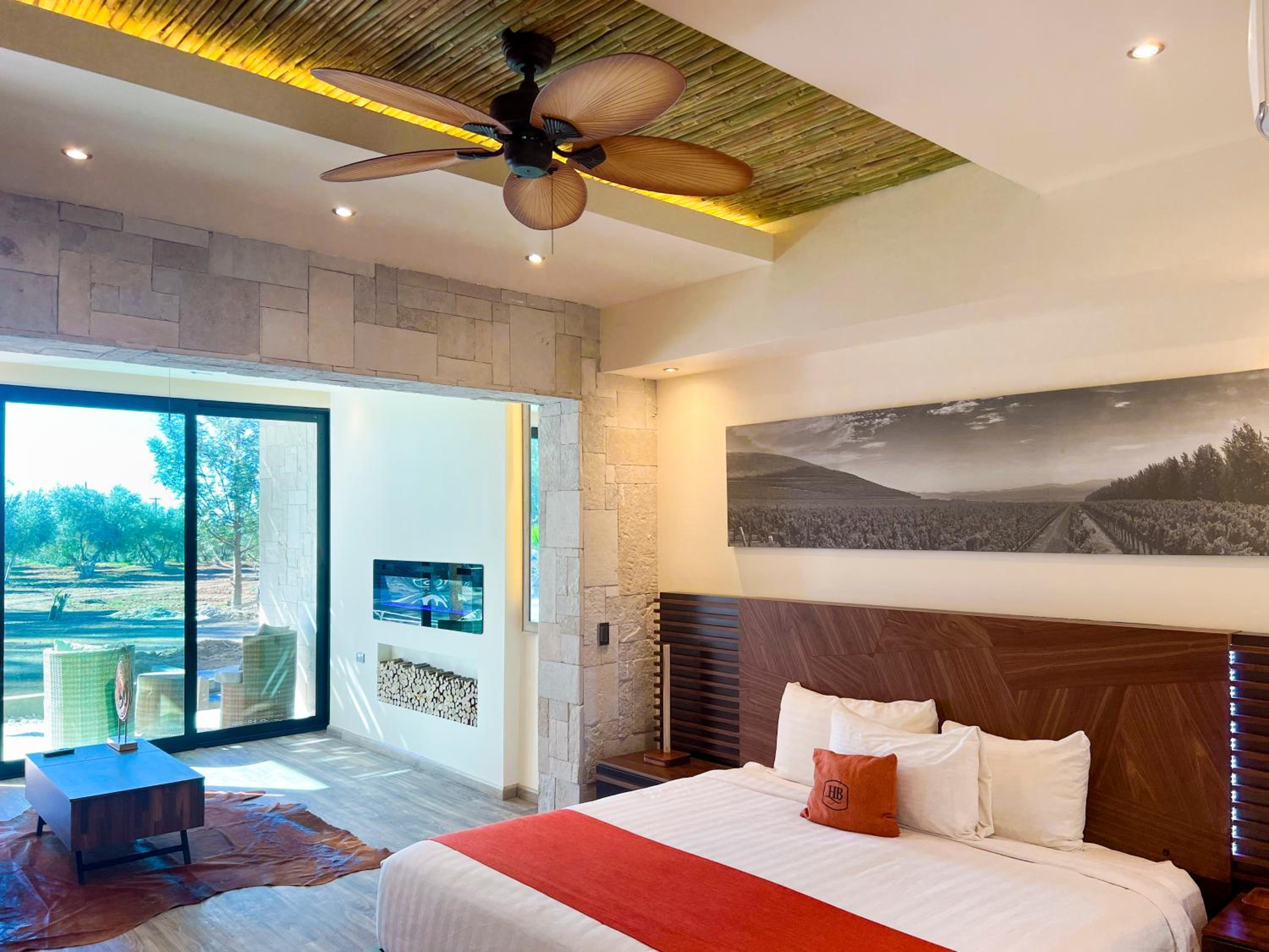 Junior Suite with Terrace