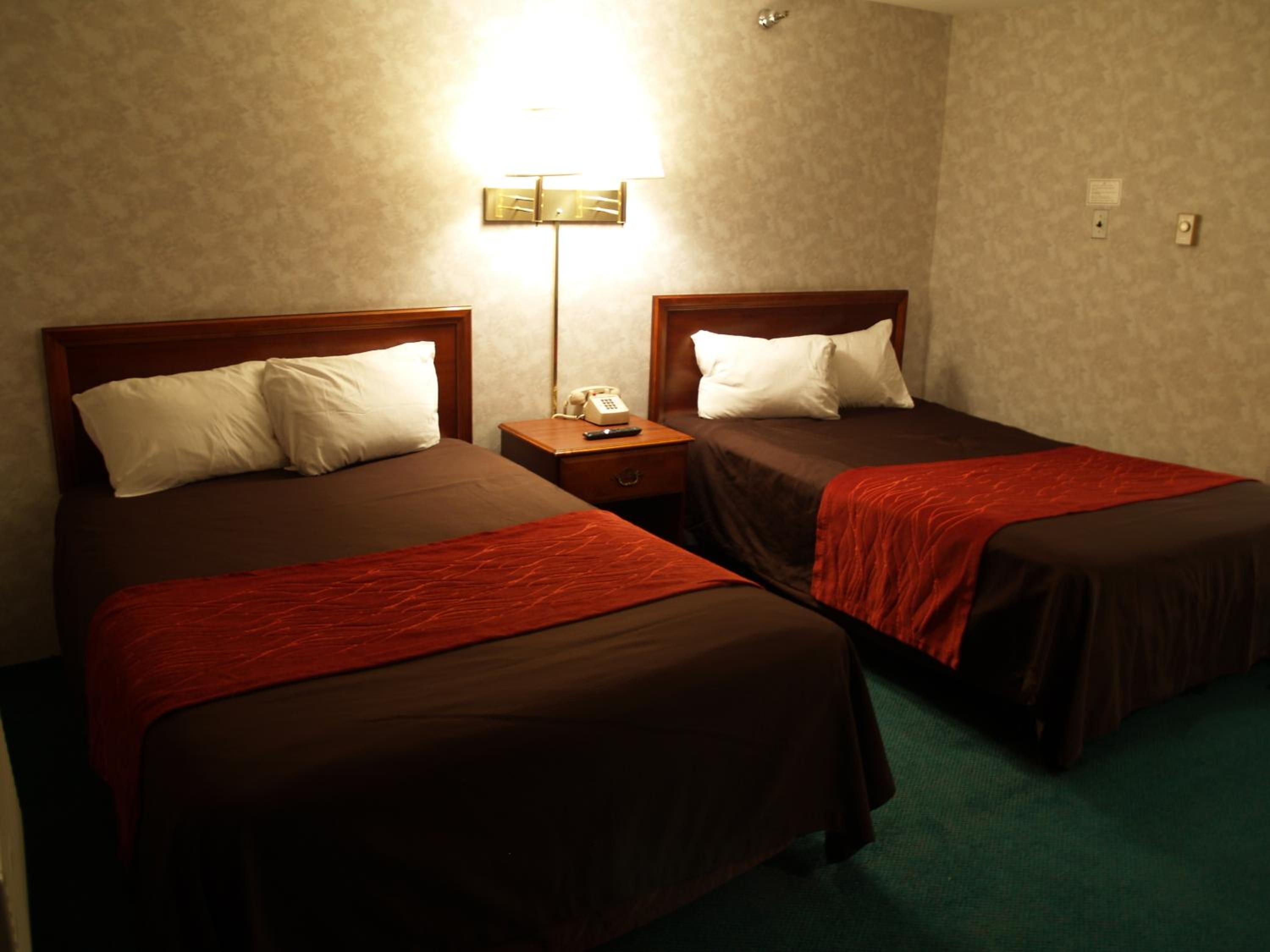 Deluxe Double Room photo 2