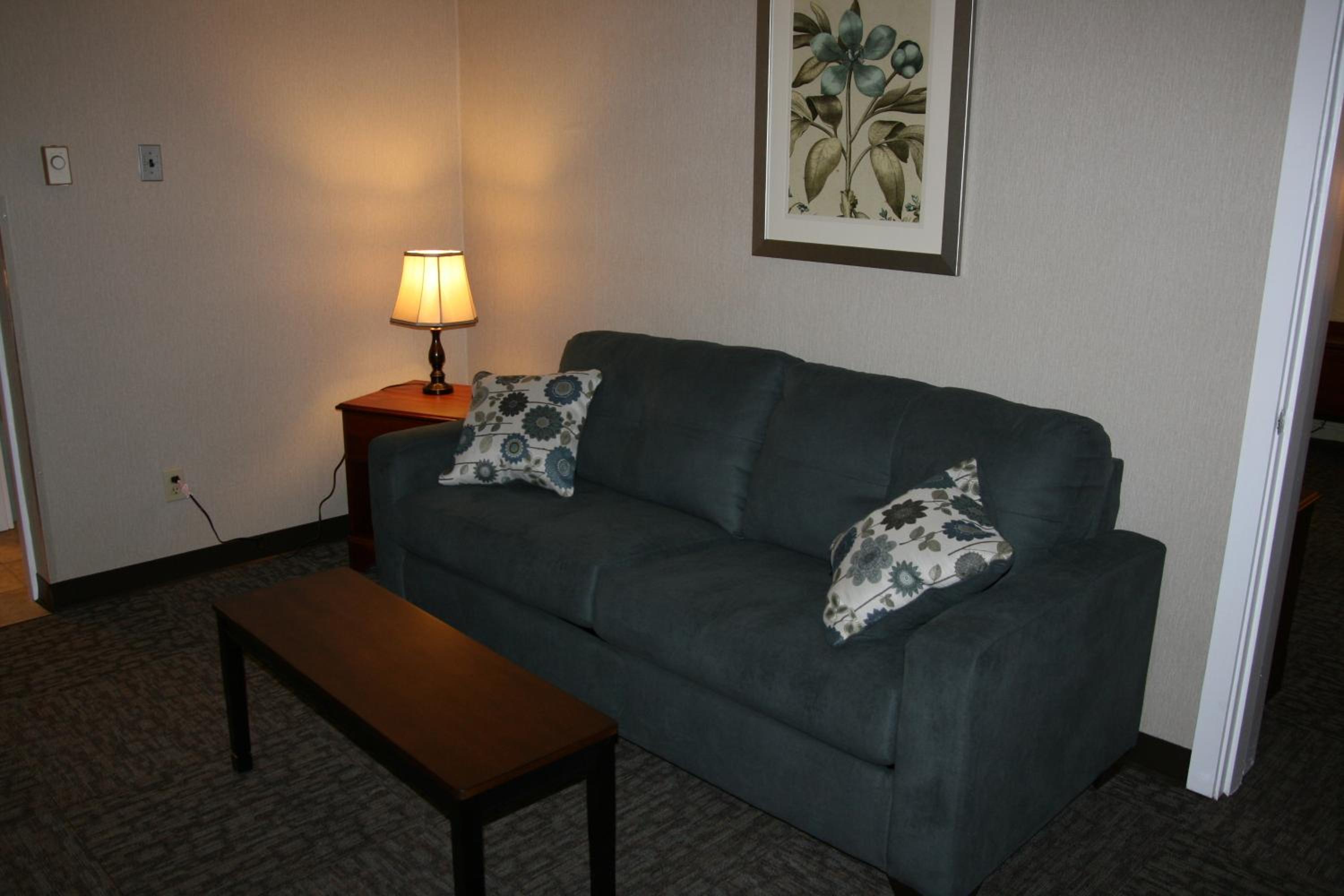 Deluxe King Suite photo 2