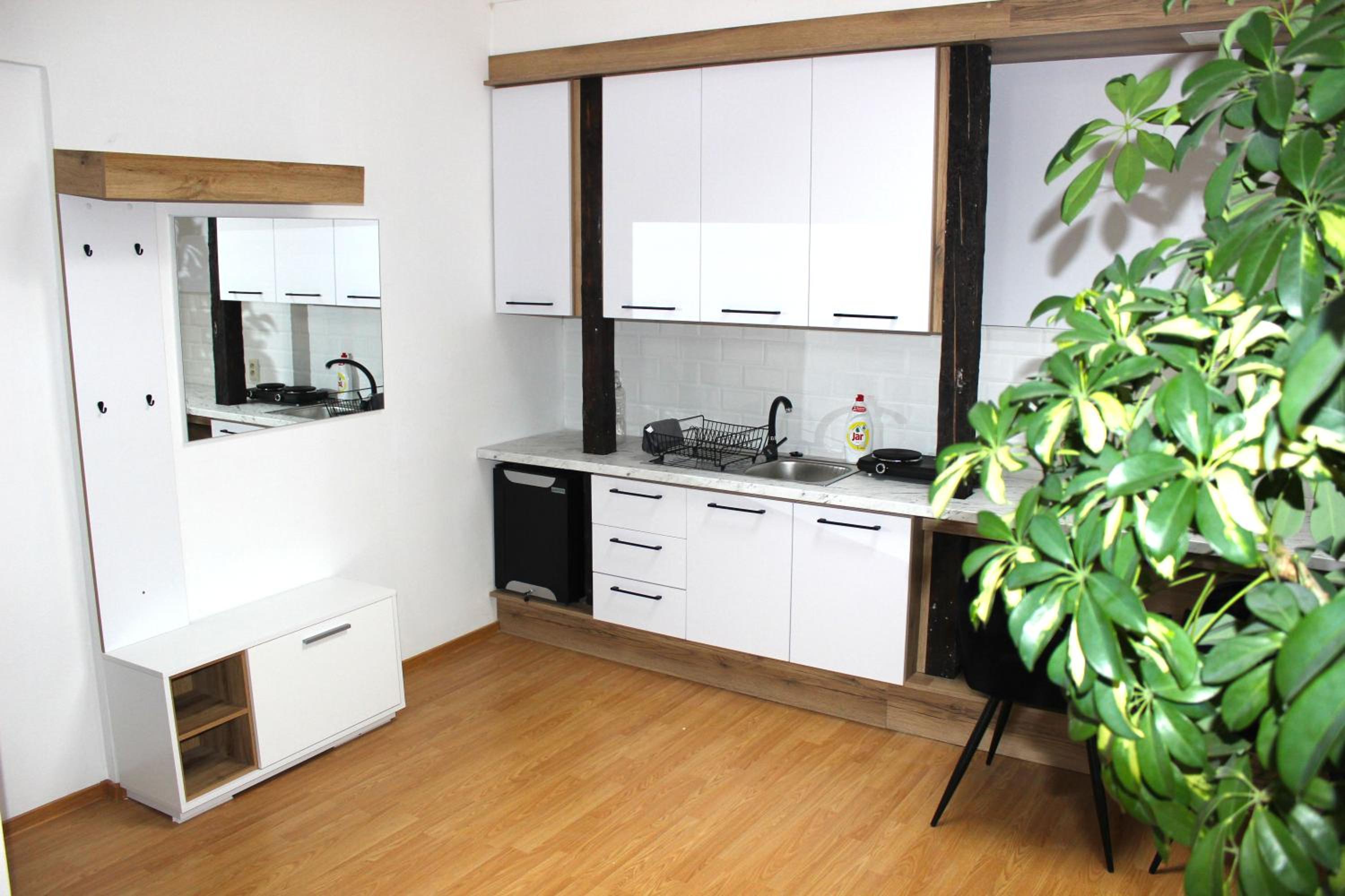 One-Bedroom Apartment photo 3