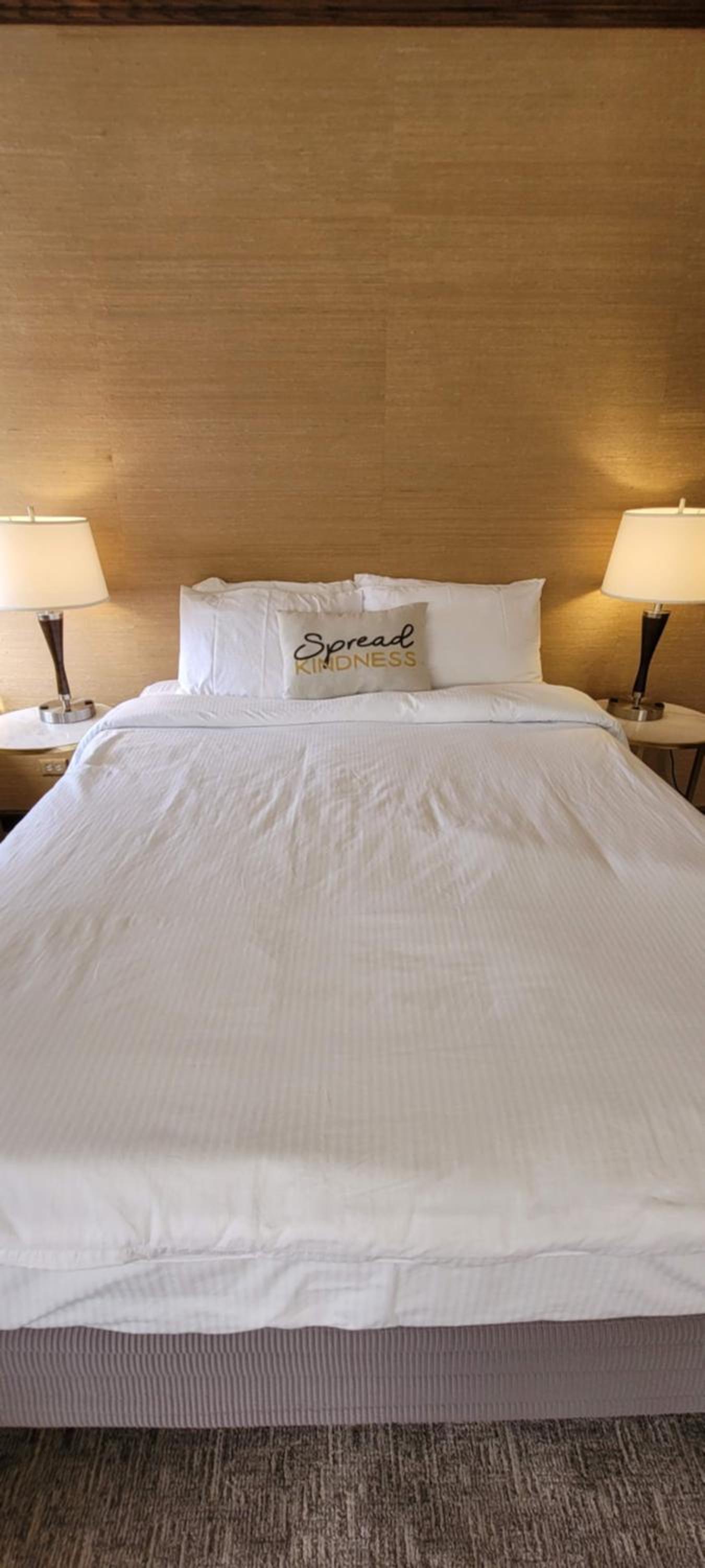 Deluxe Queen Suite photo 3