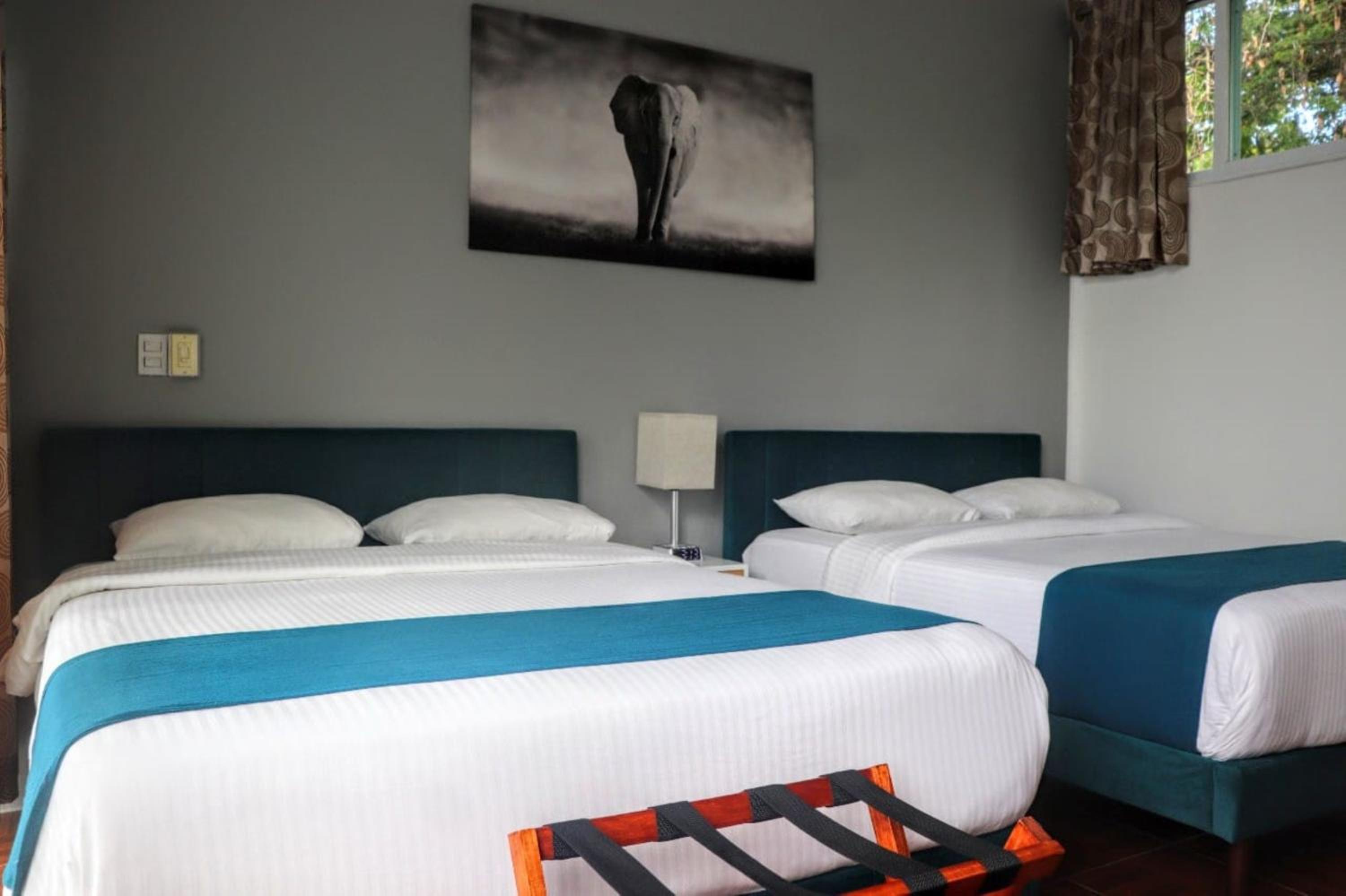 Junior Suite with Pool View