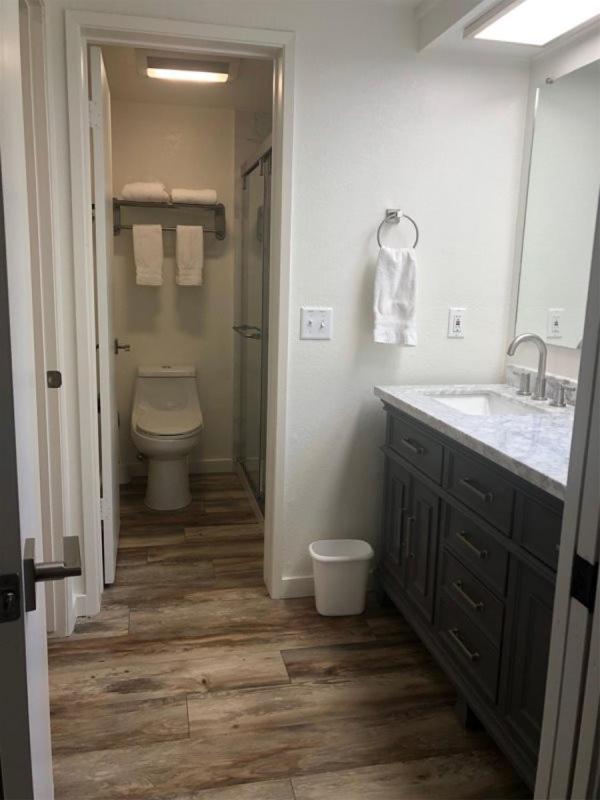Suite photo 3