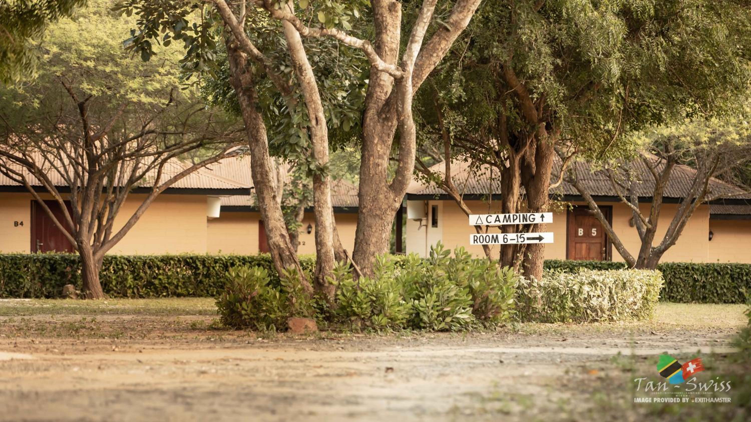 Bungalow - Photo 10