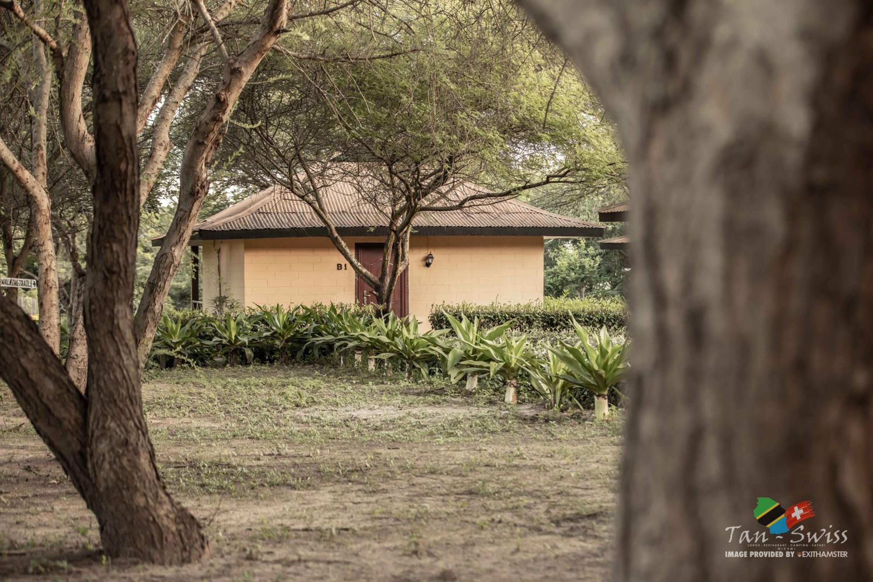 Bungalow - Photo 3