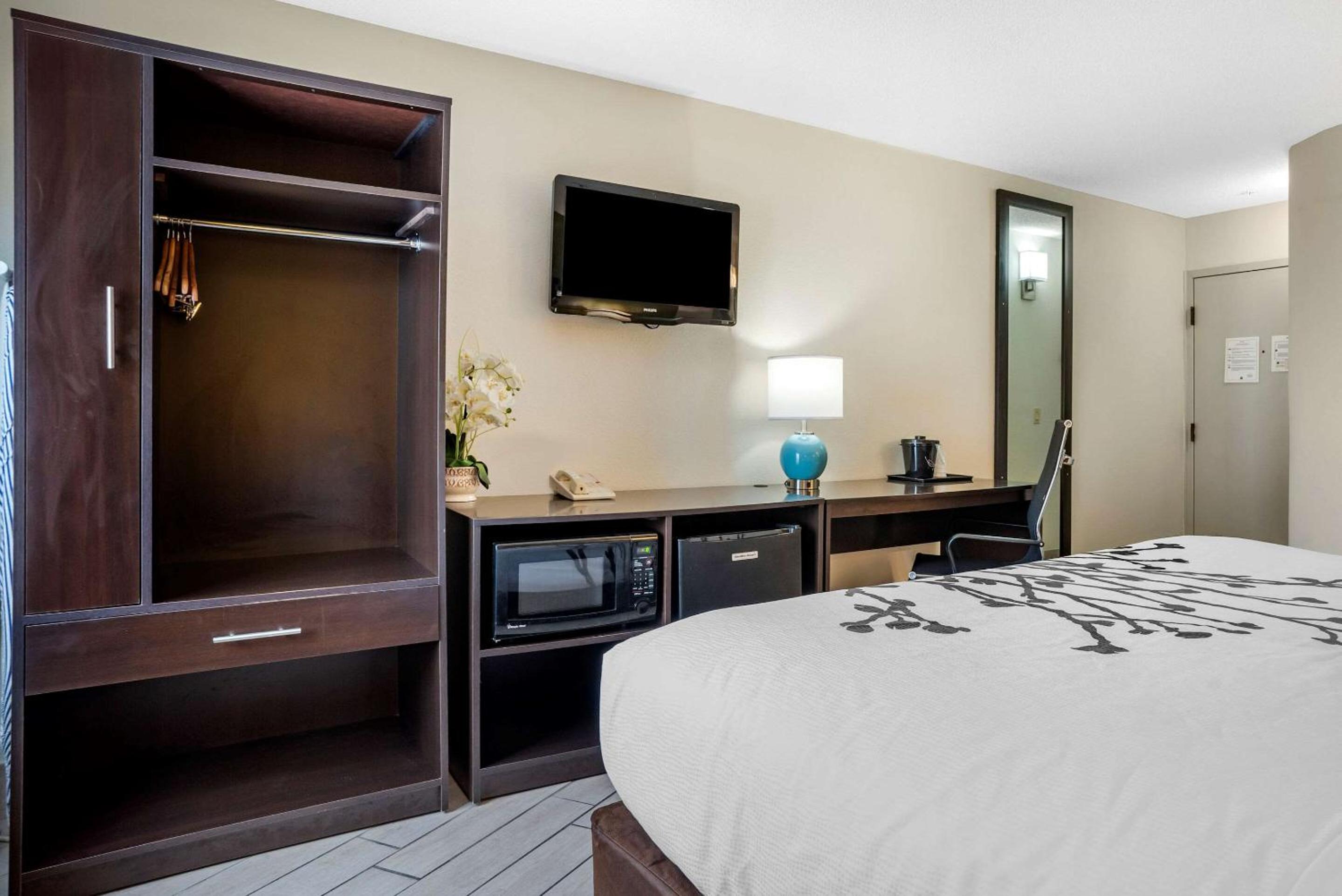 Queen Room - Accessible/Nonsmoking