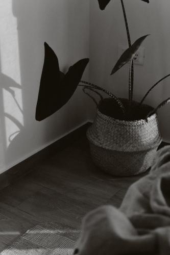 One-Bedroom Apartment - Photo 8