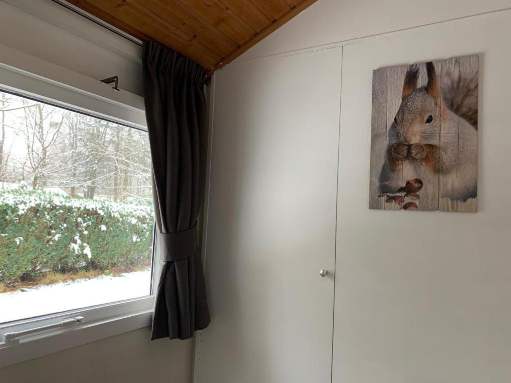 Three-Bedroom House - Photo 17