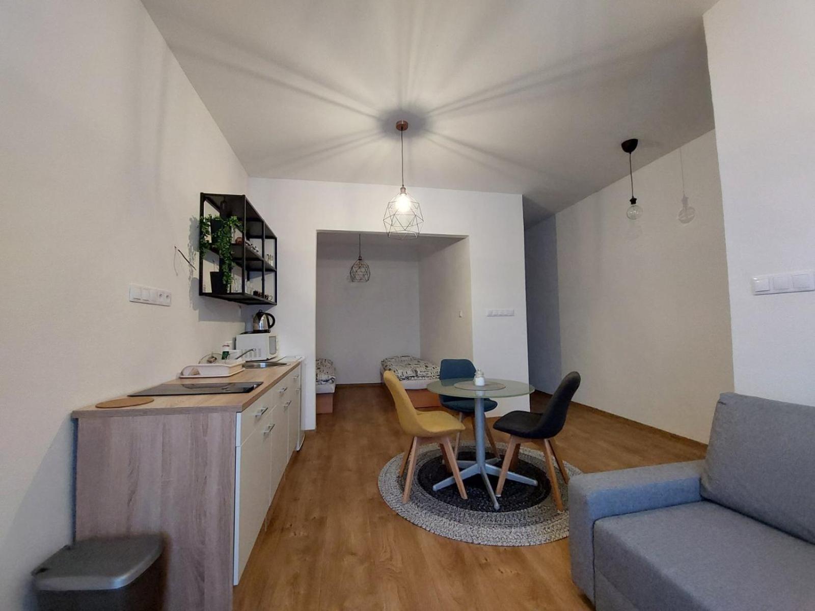 One-Bedroom Apartment photo 3