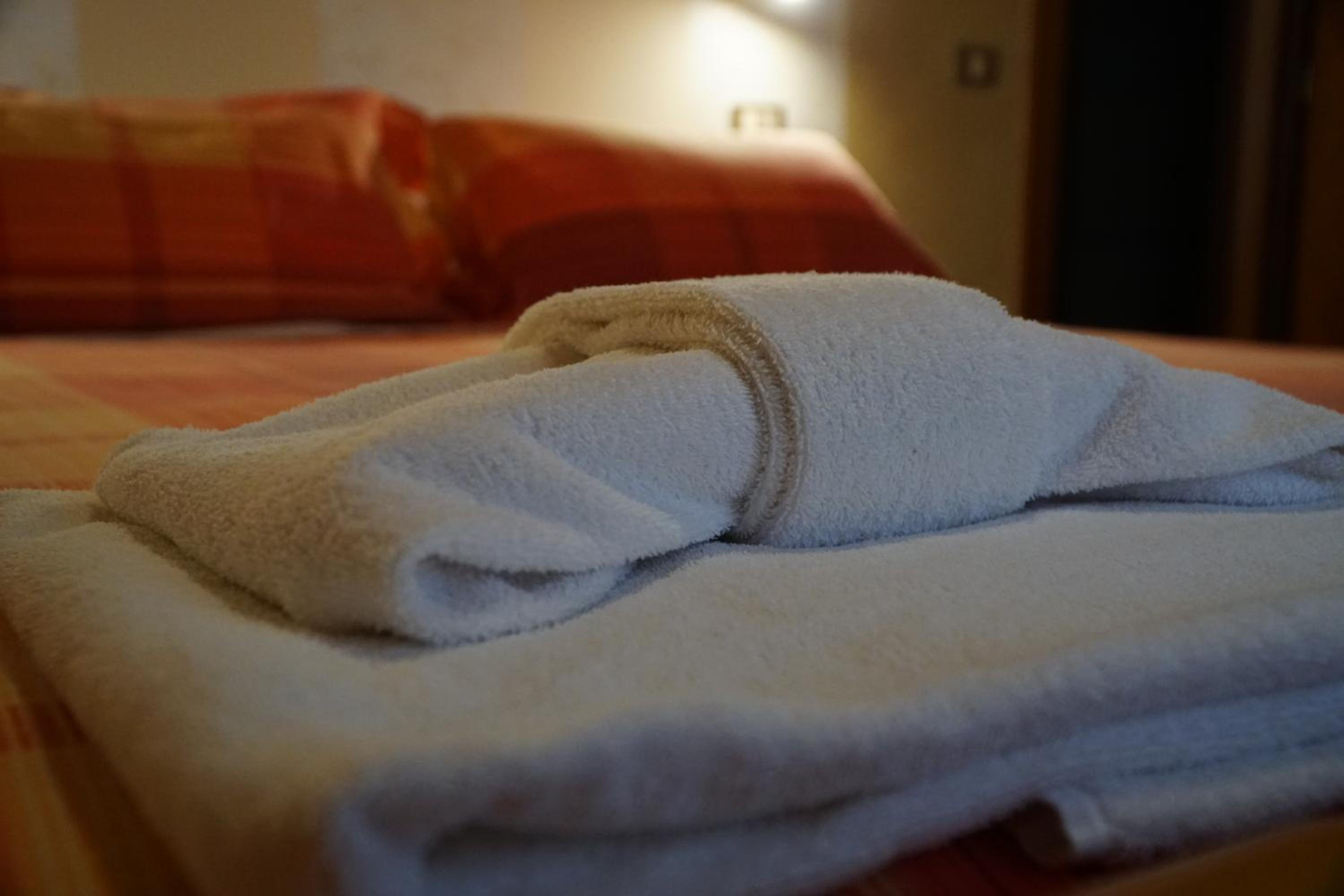 Single Room photo 1