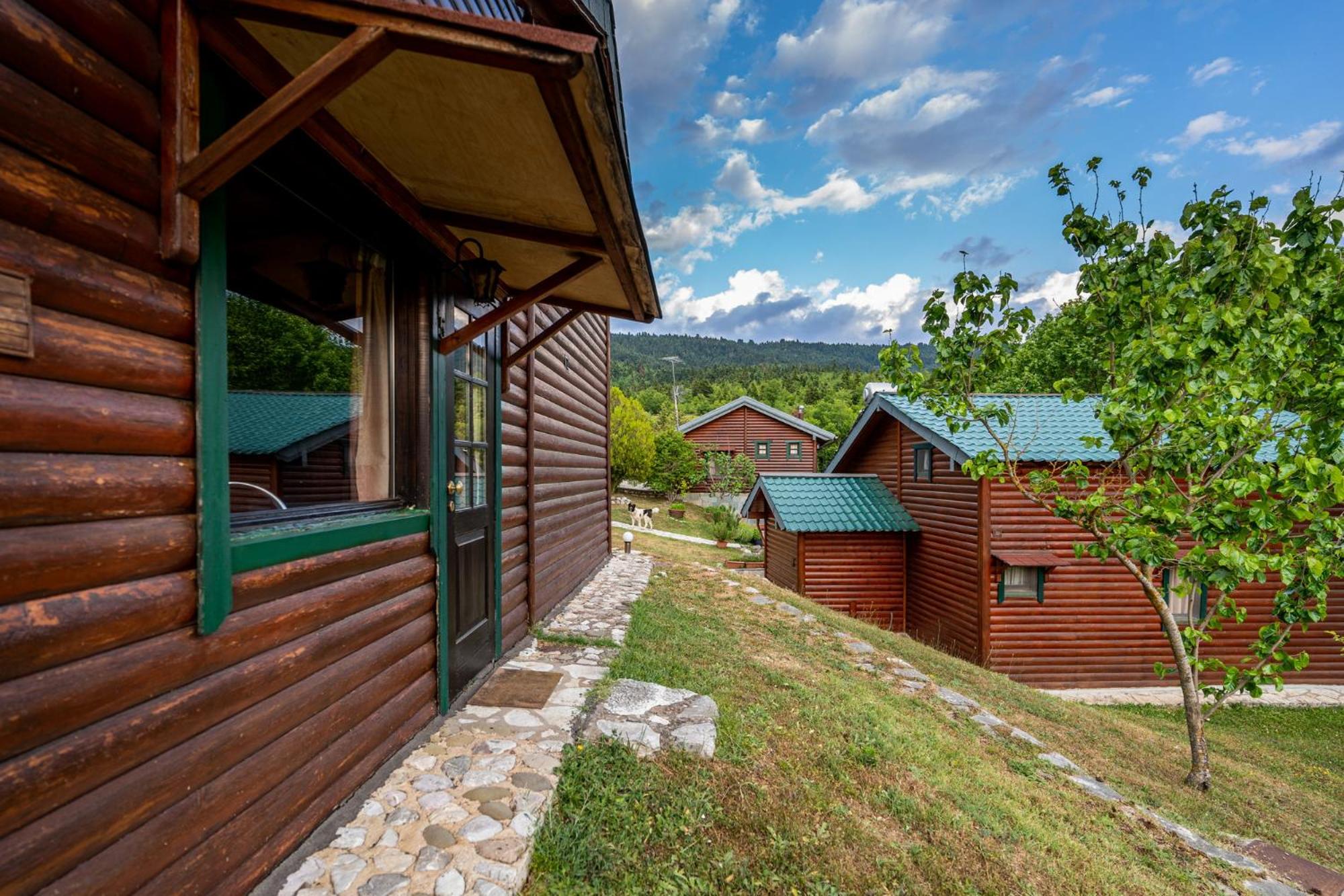 Chalet with Fireplace (6 Adults) - Split Level photo 2