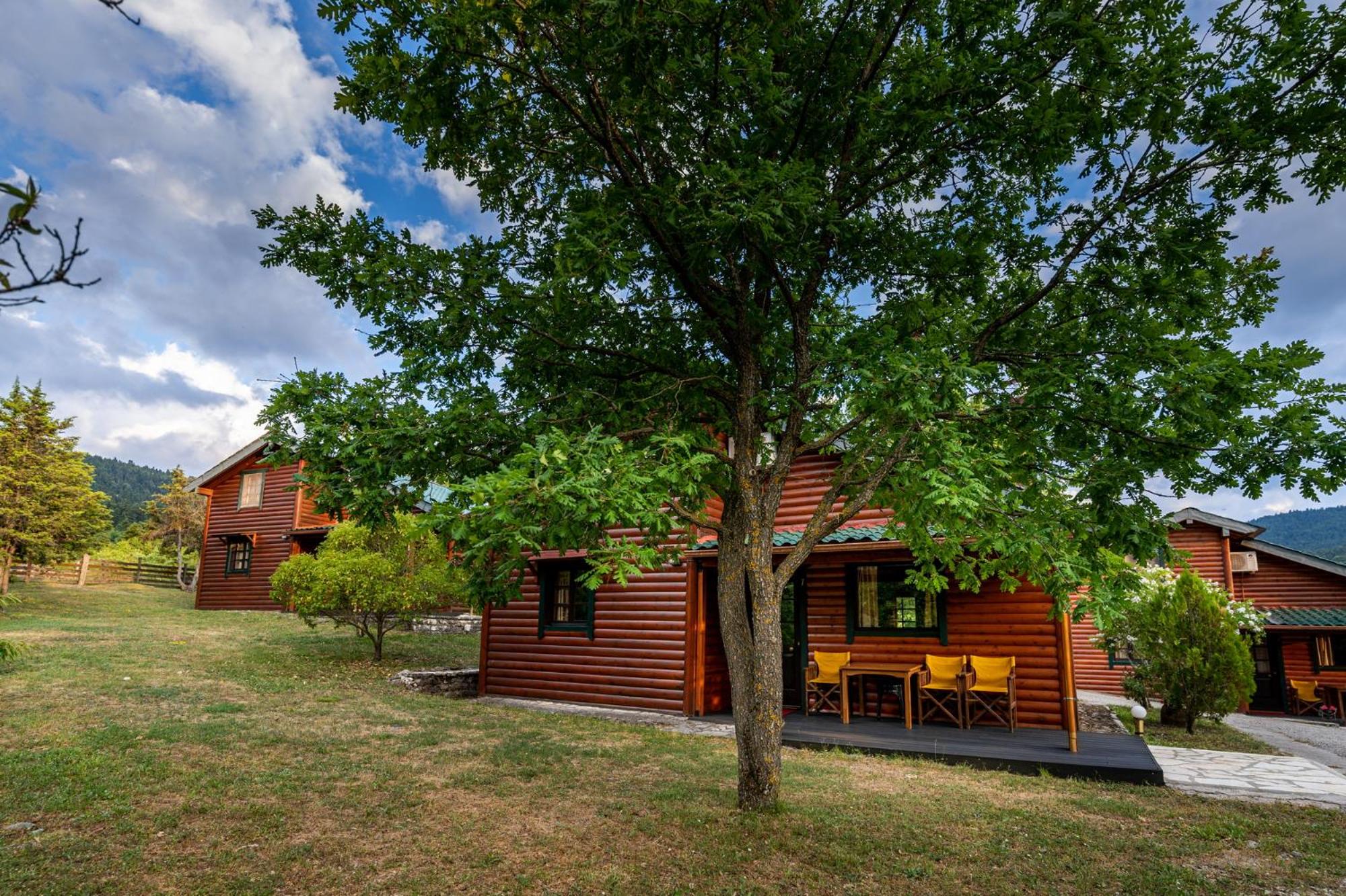 Chalet with Fireplace (5 Adults) - Split Level photo 2