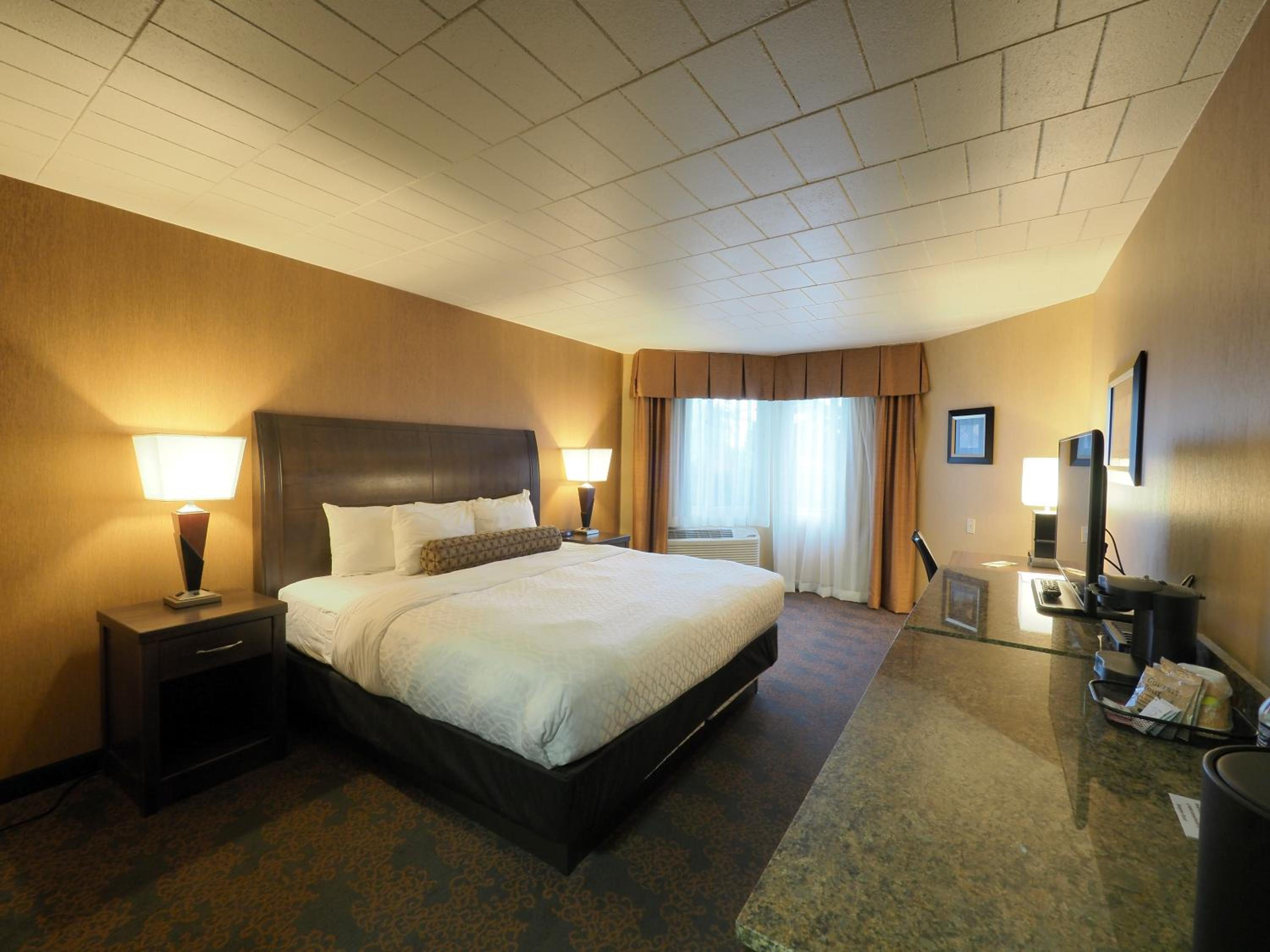 King Room photo 1