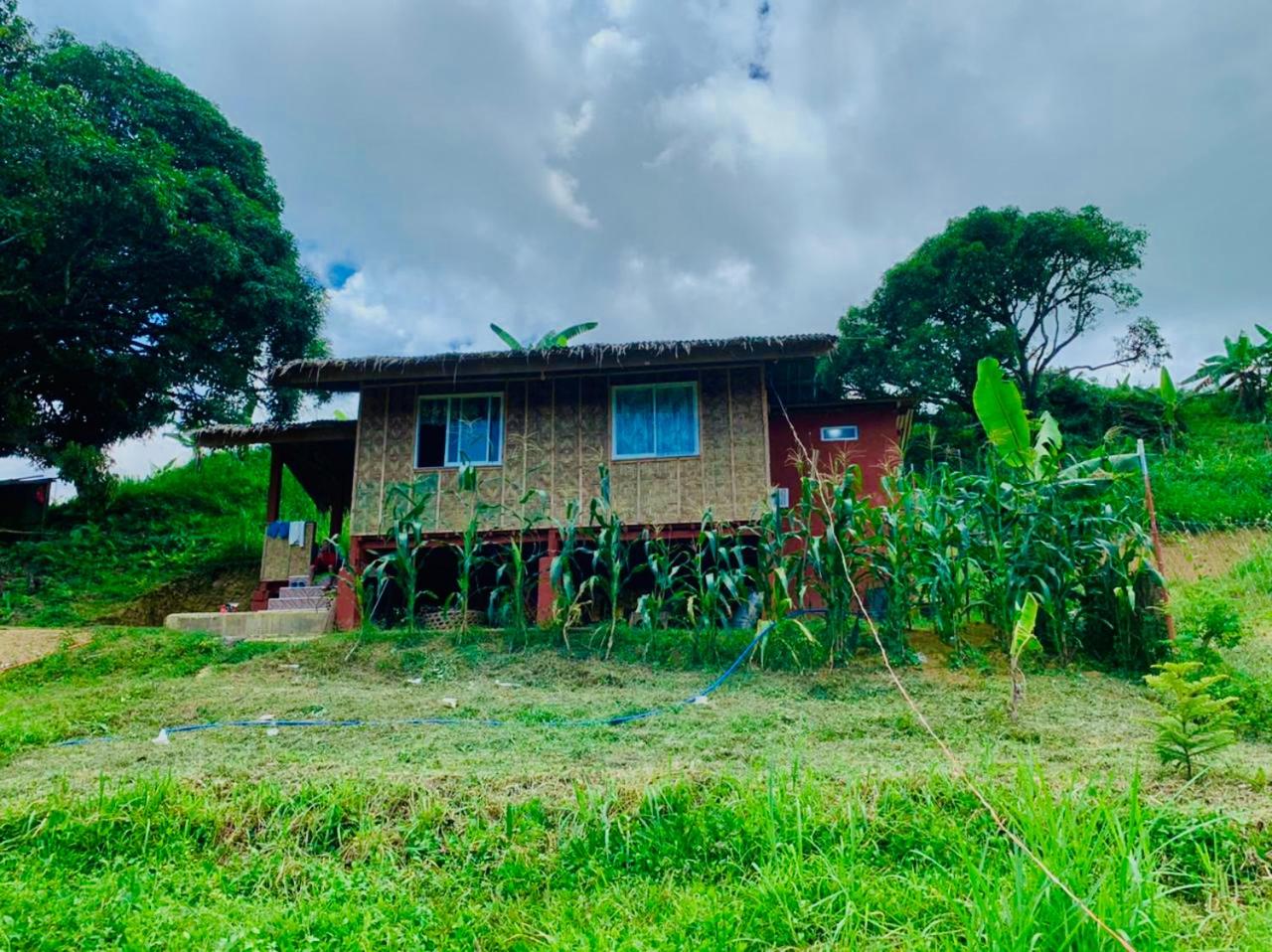 Bungalow with Garden View - Photo 116