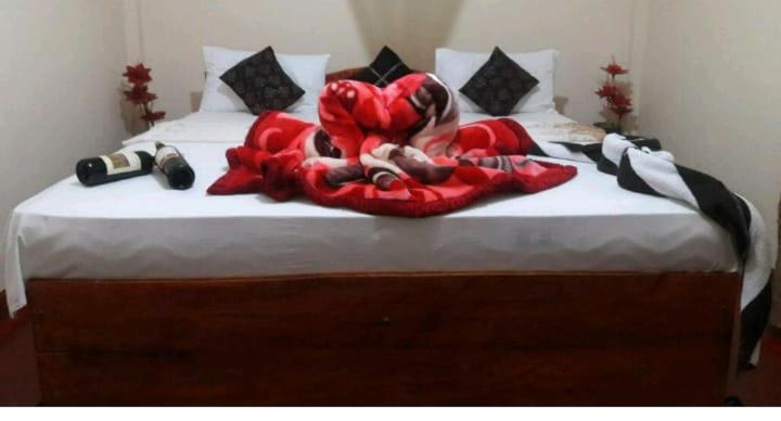 Double Room photo 1