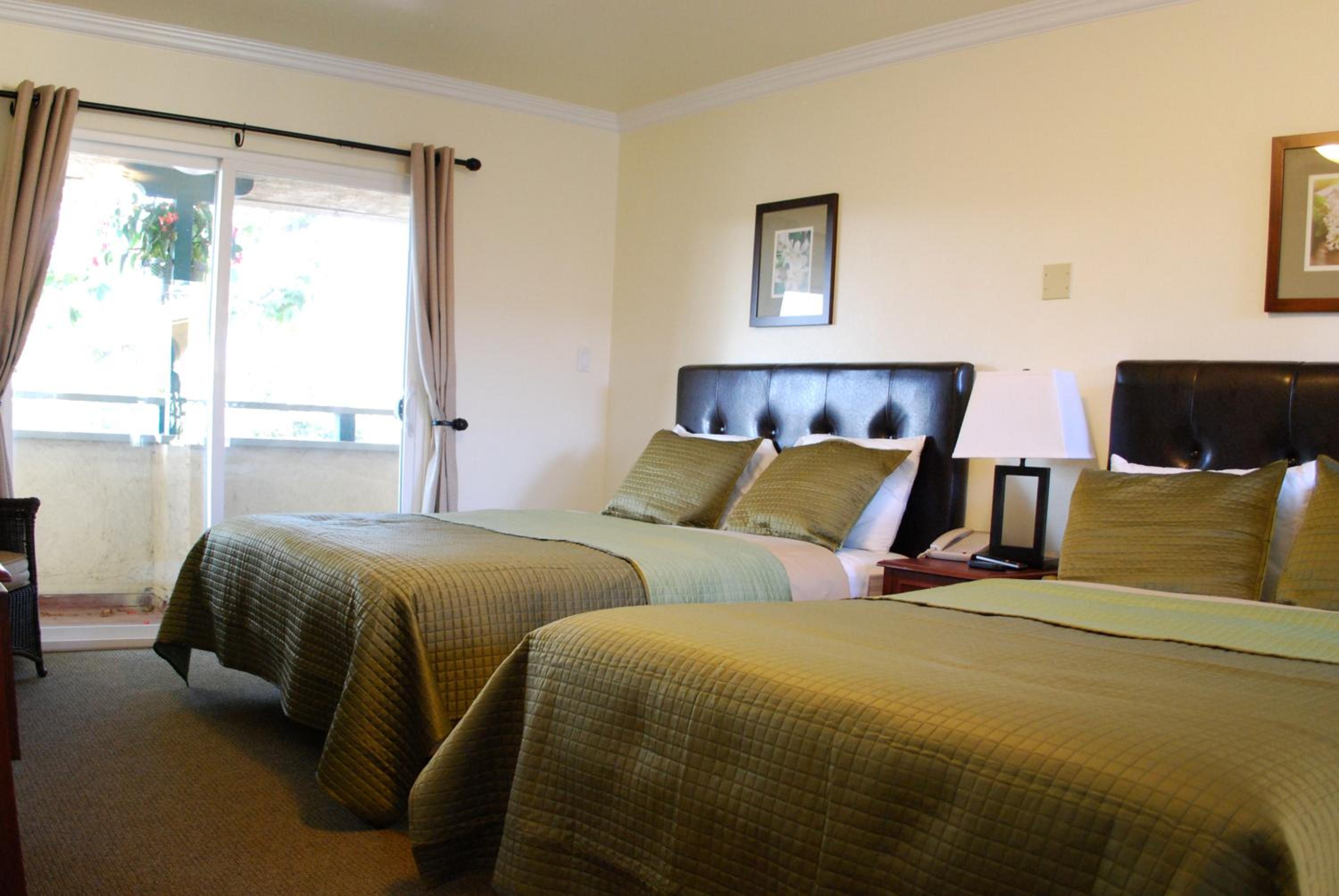 Mini Suite - Photo 1
