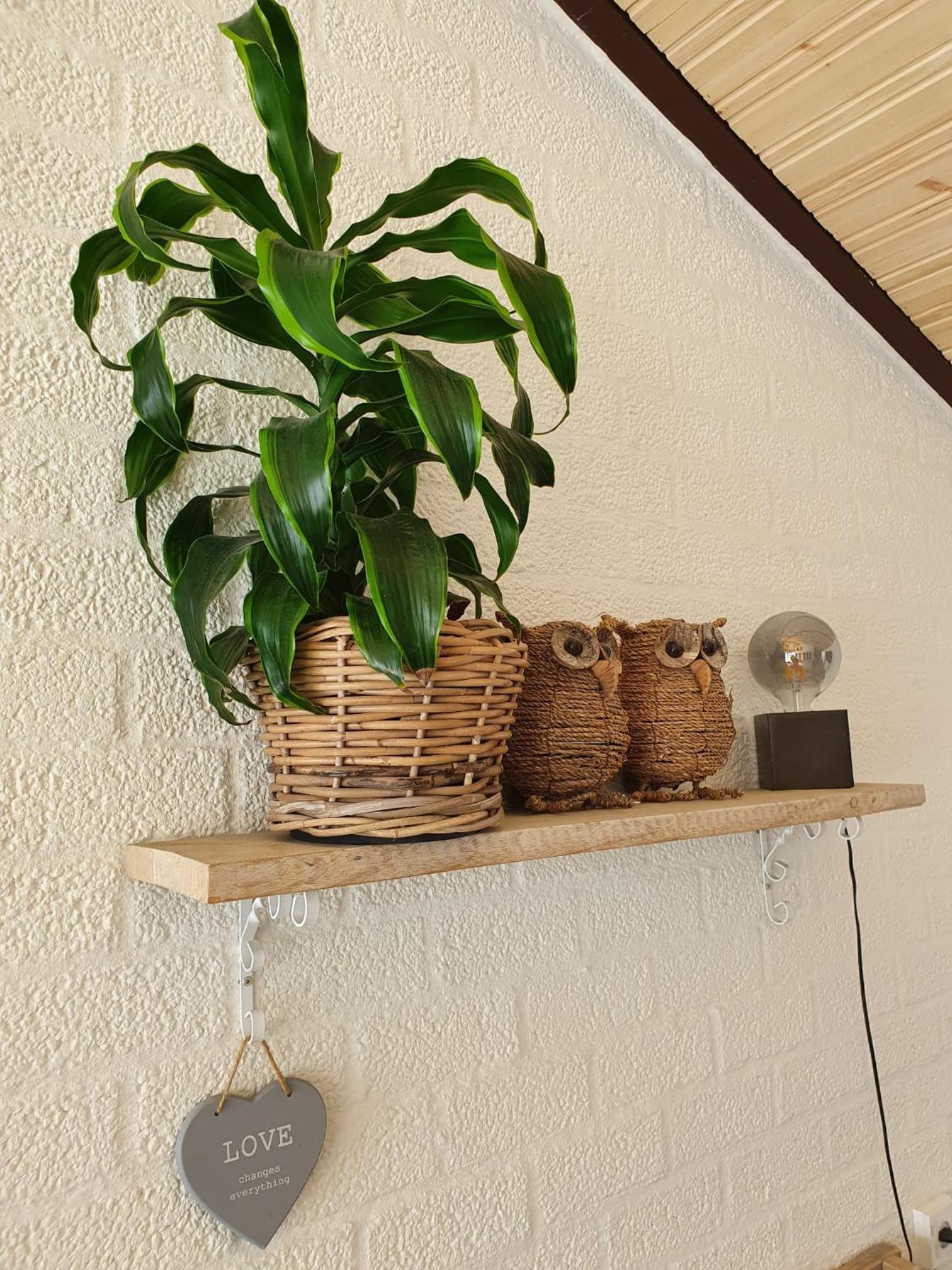 Vacation Home - Photo 31