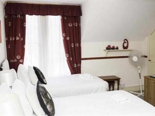 Standard Twin Room photo 2