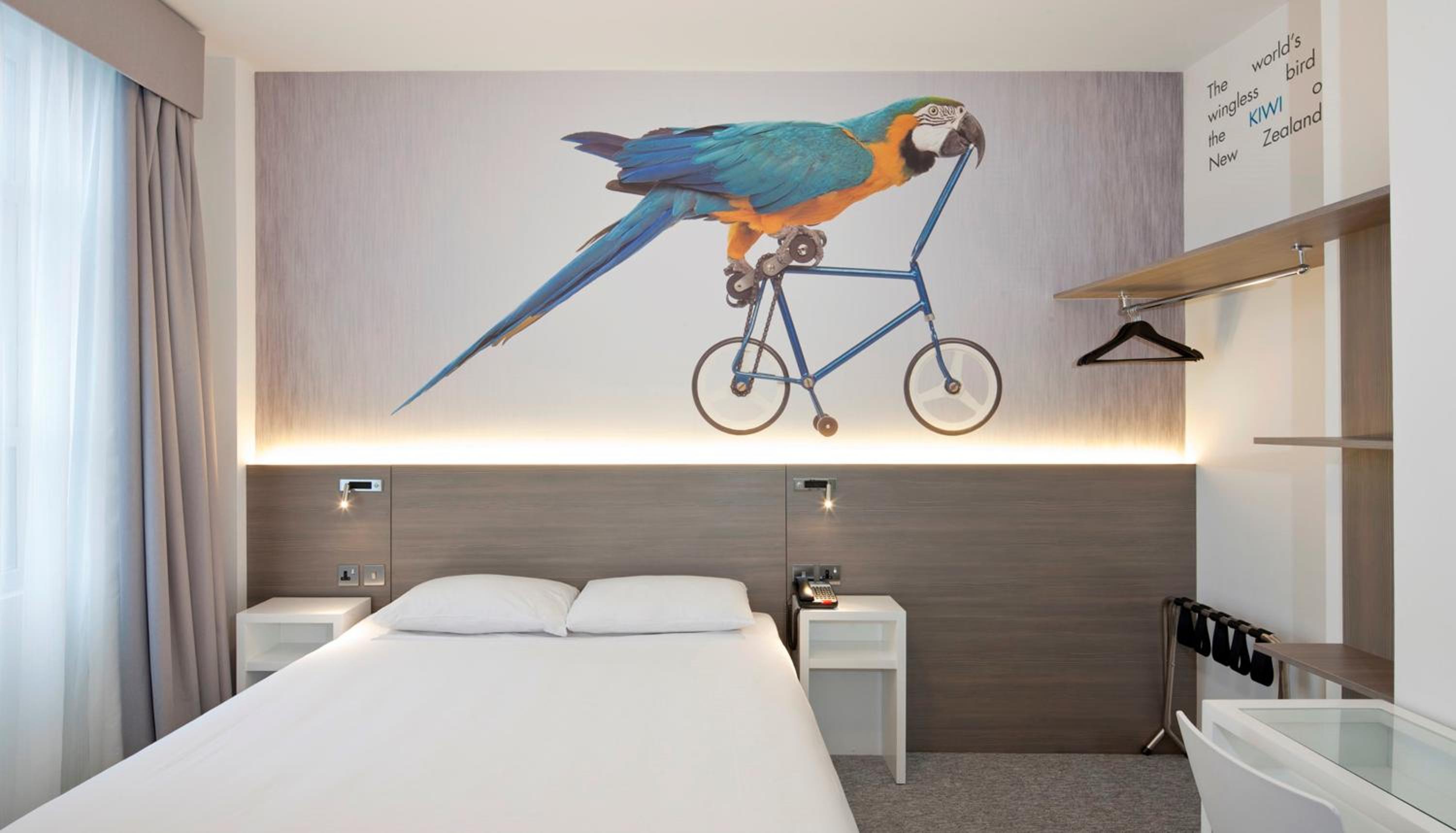 Superior Double Room photo 1