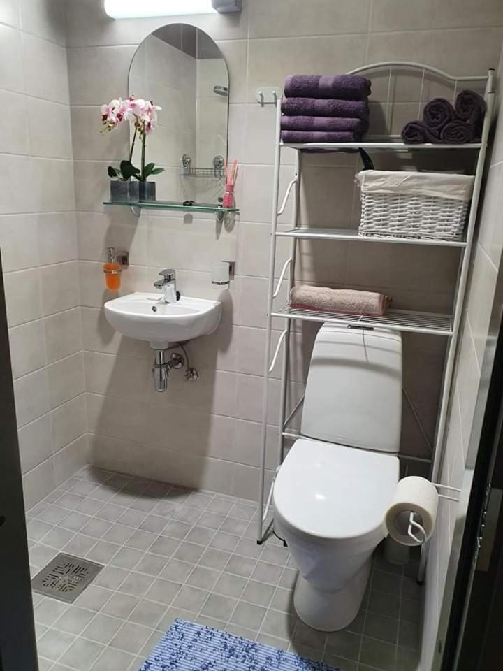 One-Bedroom Apartment - Photo 3