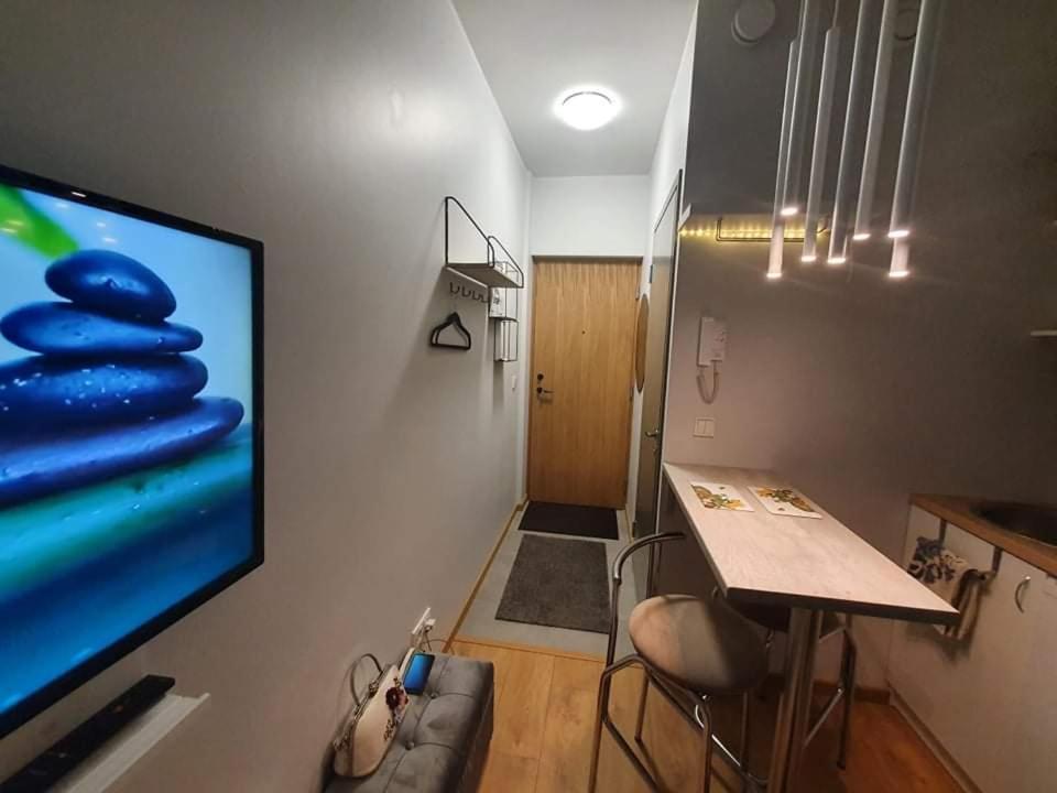 One-Bedroom Apartment - Photo 4