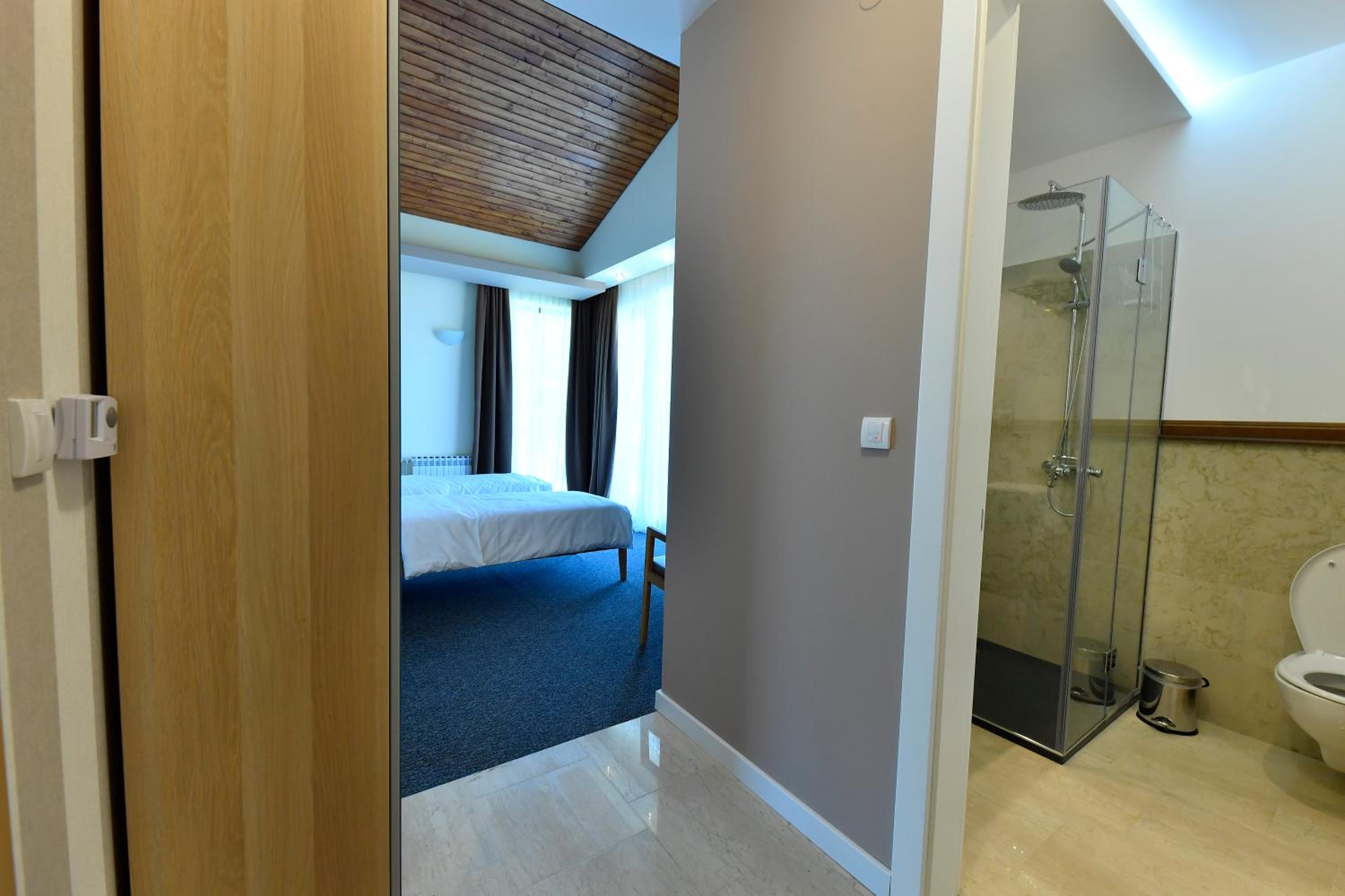 Deluxe Double or Twin Room photo 3
