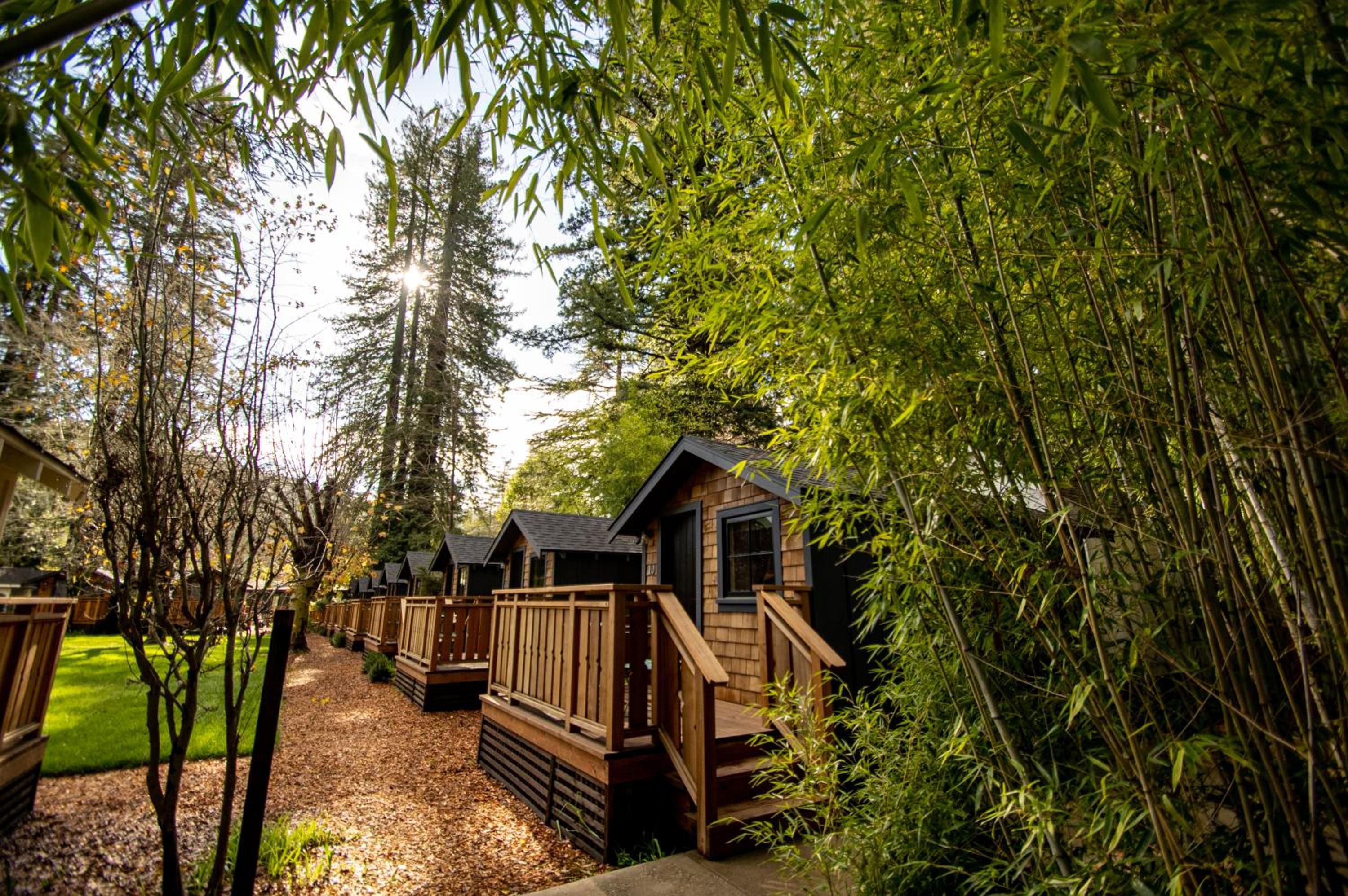 Sycamore Cabin - Photo 7