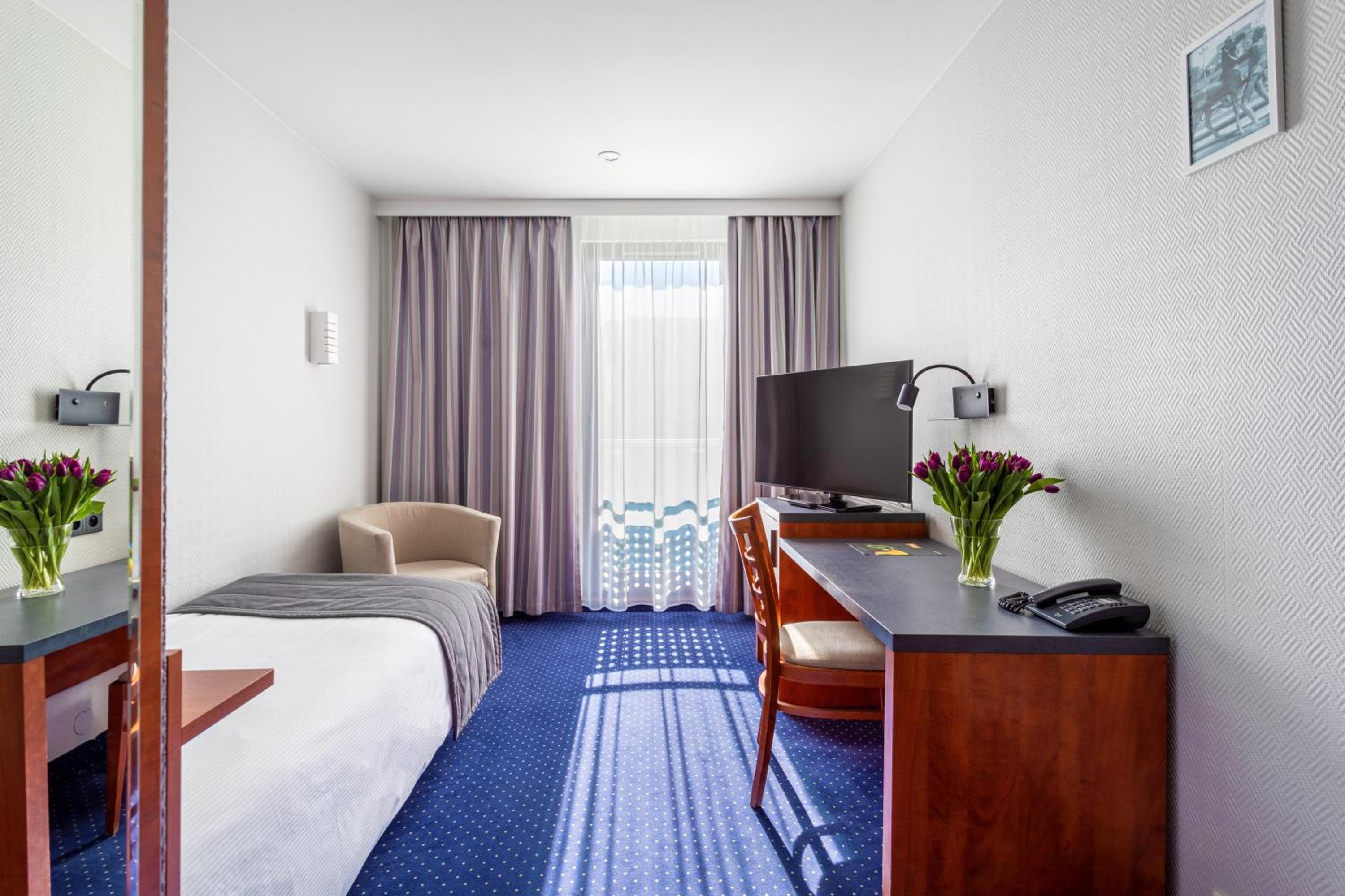 Single Room photo 1
