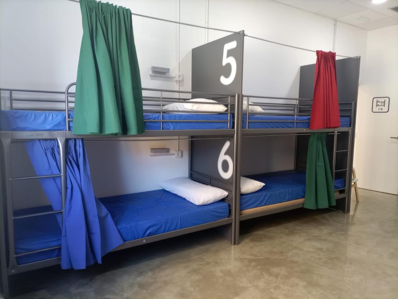 Bunk Bed in Mixed Dormitory Room photo 2