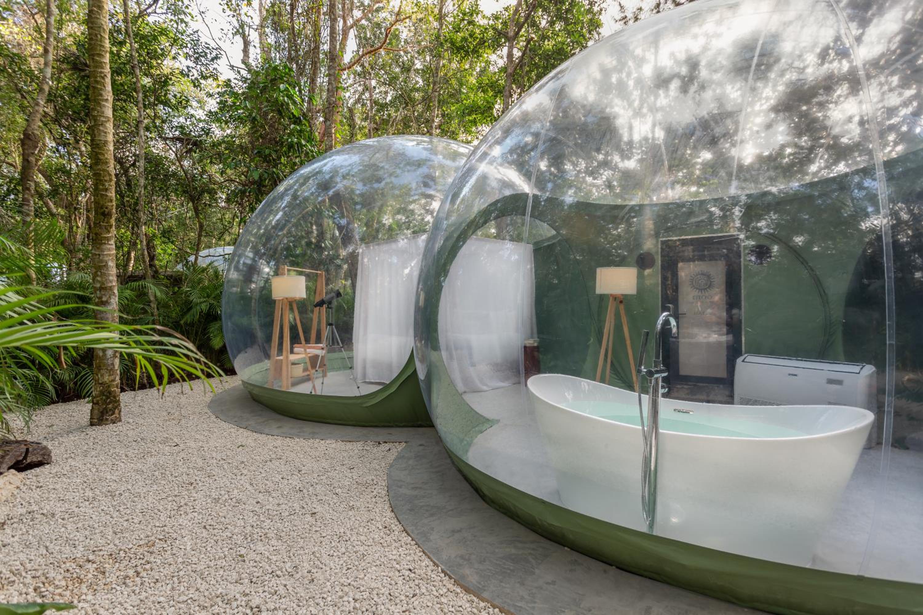 Bubble Suite Premium with jungle view