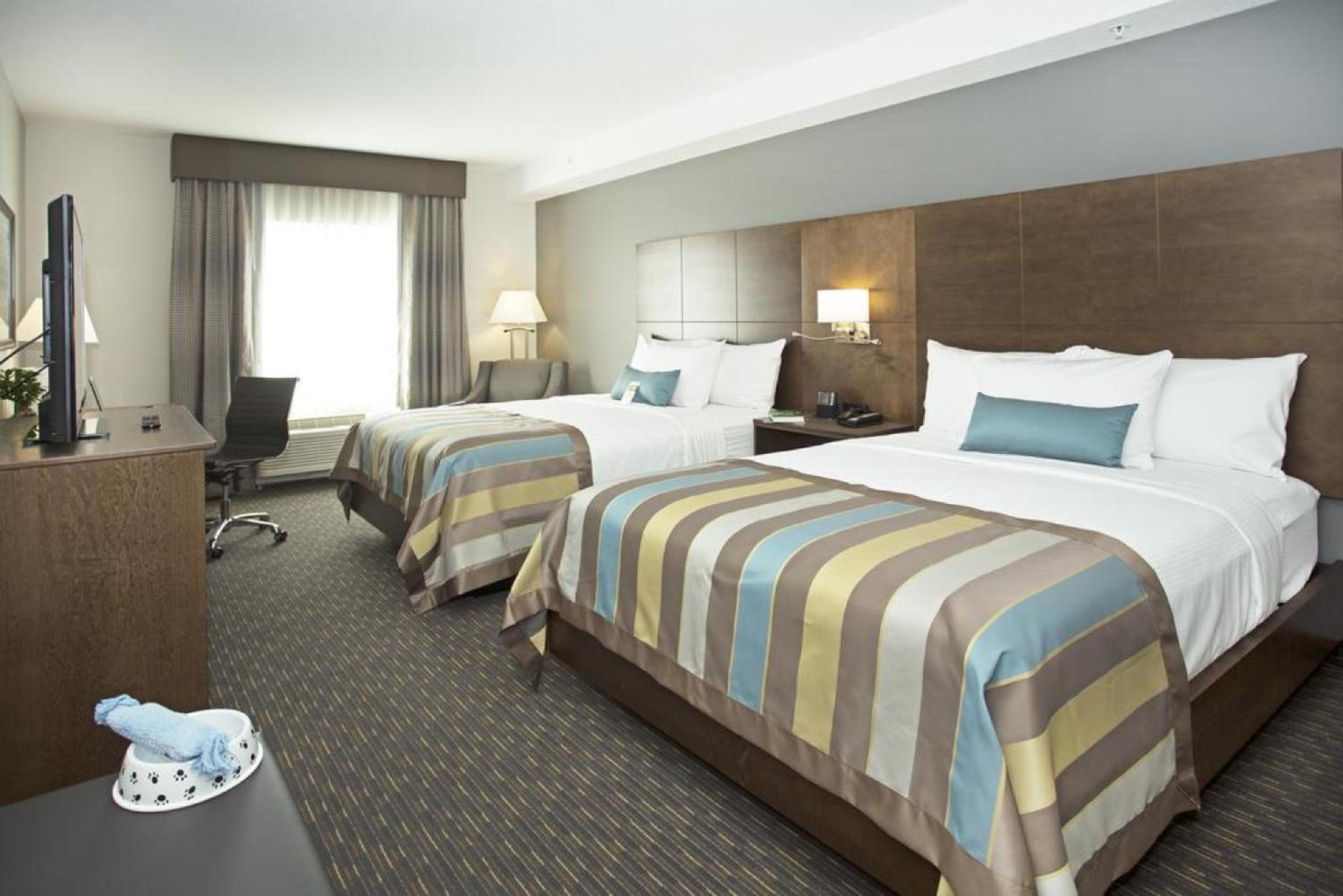 Queen Room with Two Queen Beds - Pet Friendly/Non-Smoking