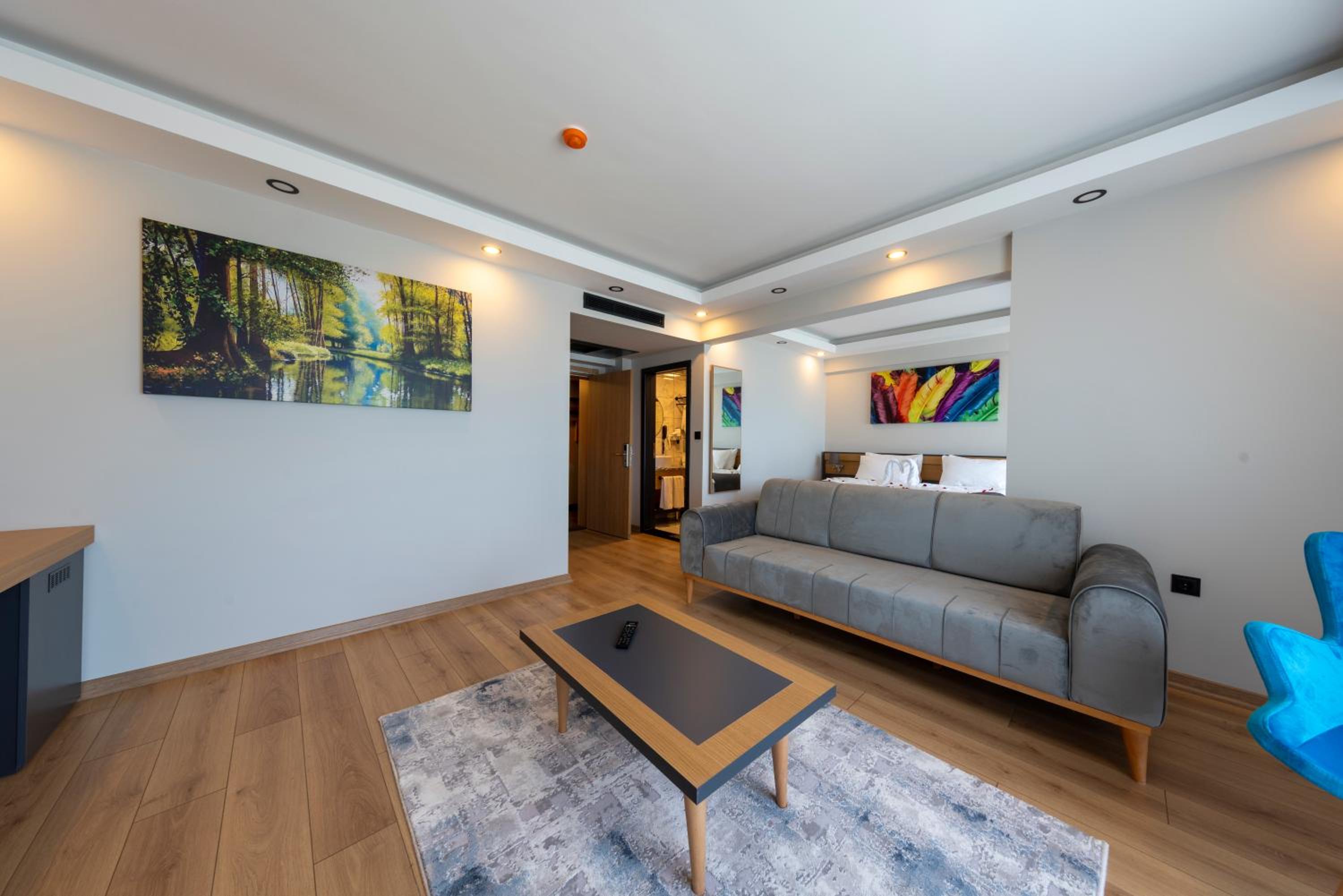 Junior Suite - Photo 11