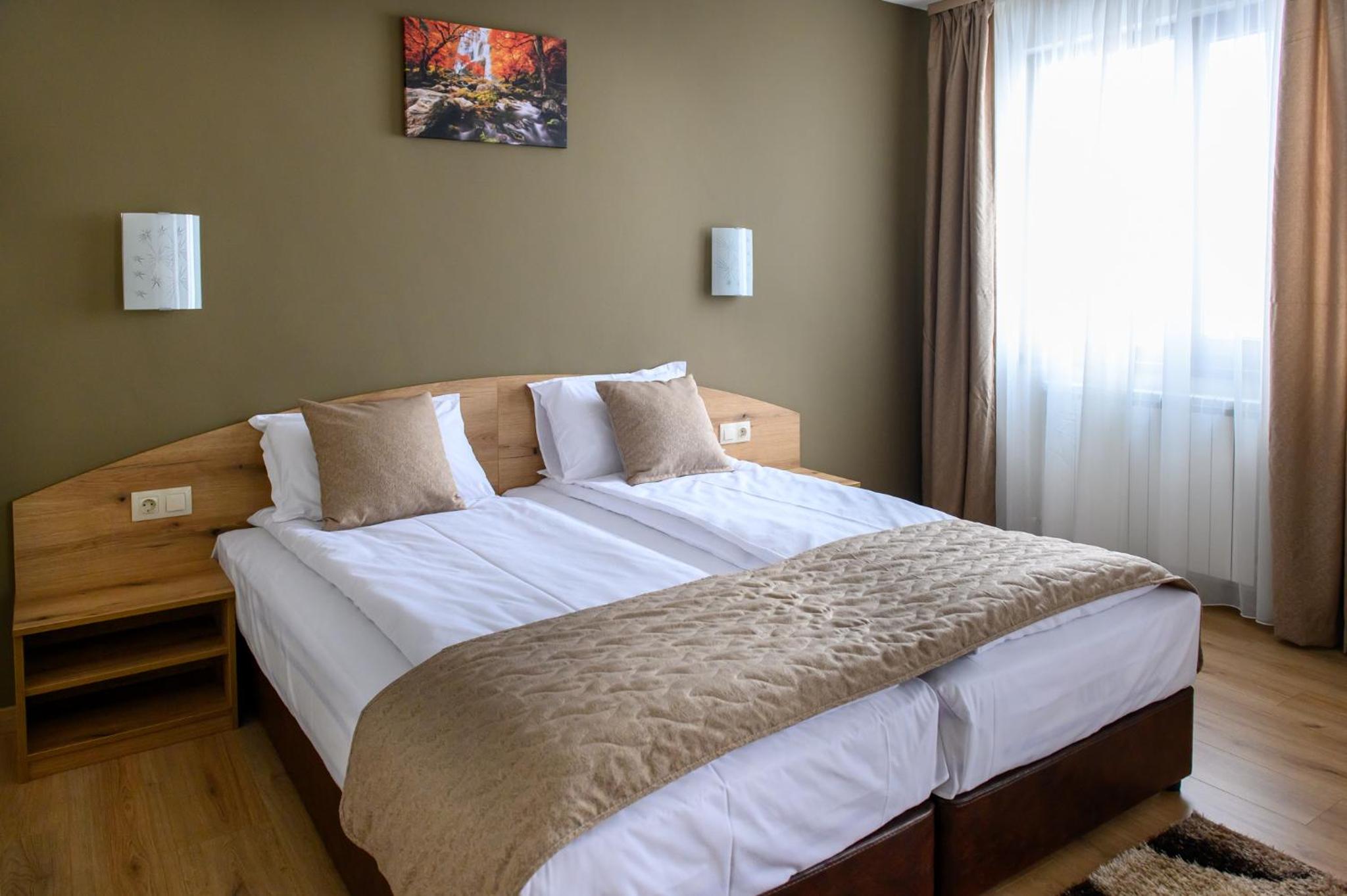 Deluxe Twin Room photo 1